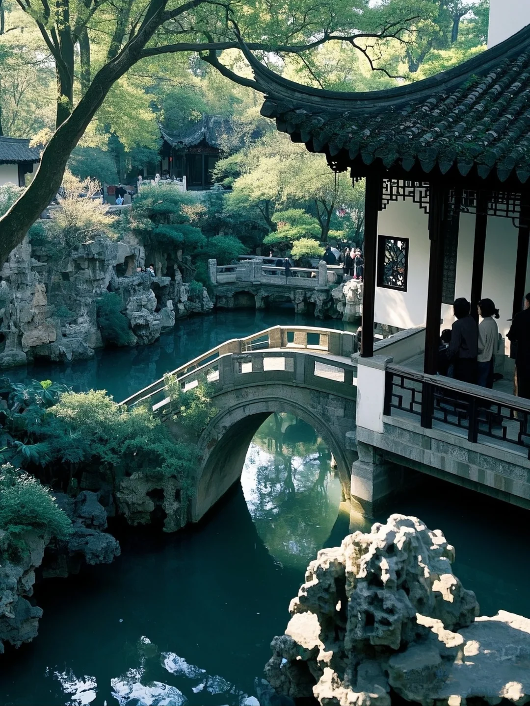 🌳走进狮子林，探江南园林之妙