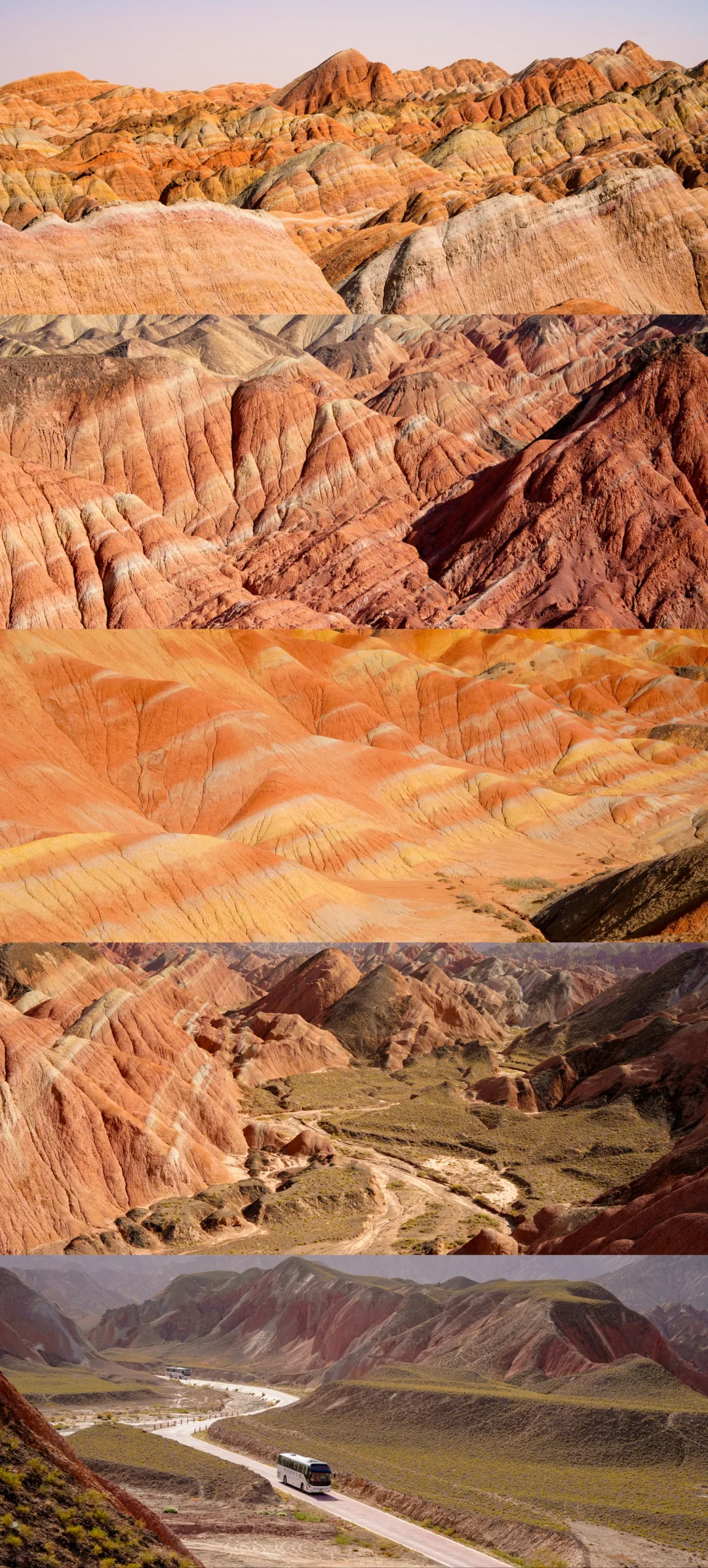 张掖还是太权威了