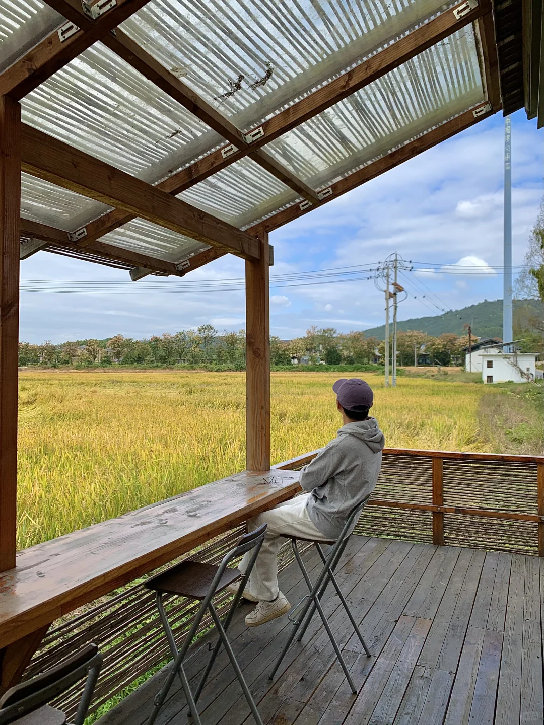 接下来的杭州…堪称秋日旅行天花板！（live版