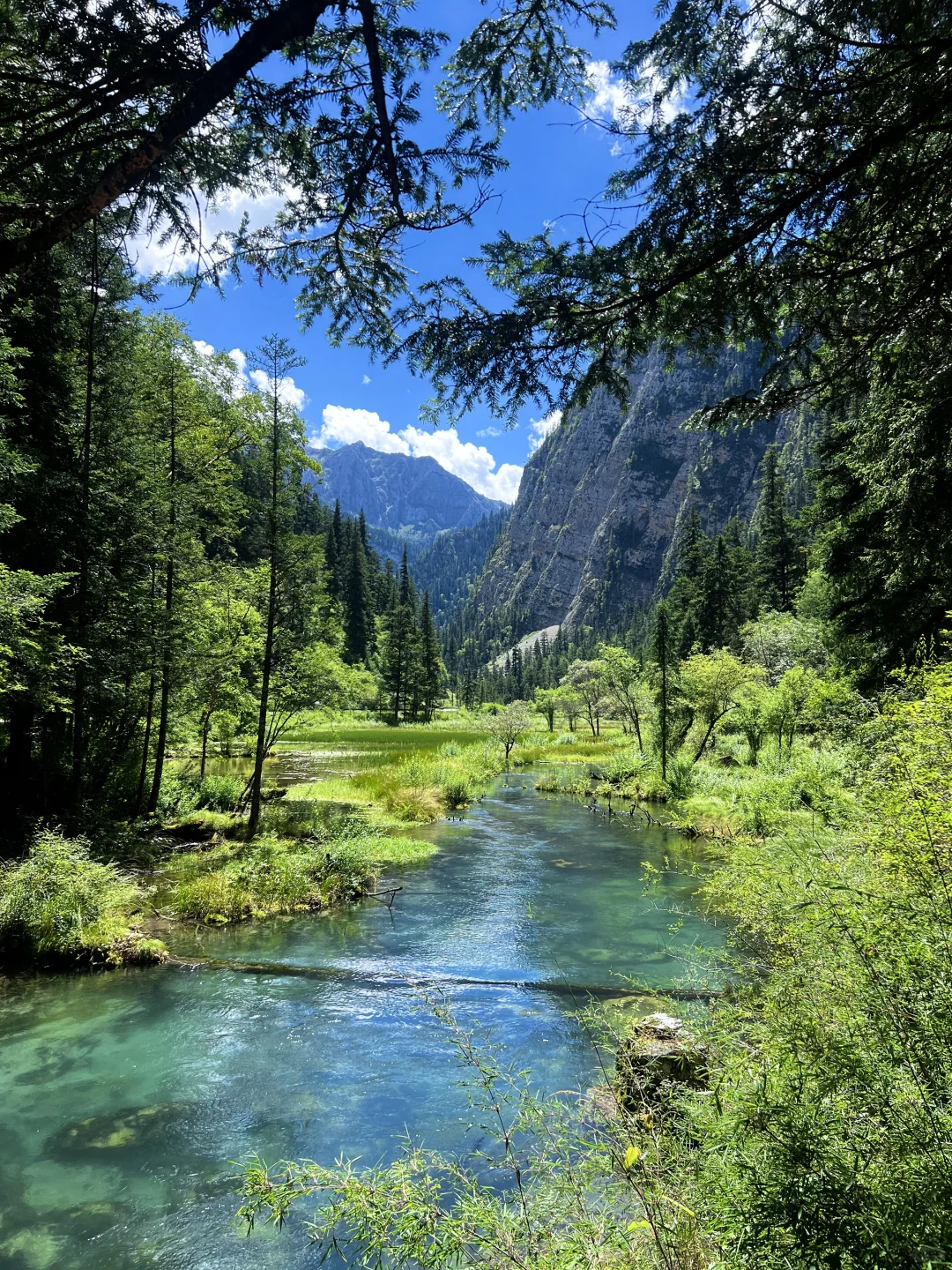 交换大家九寨沟旅游神图！！！！