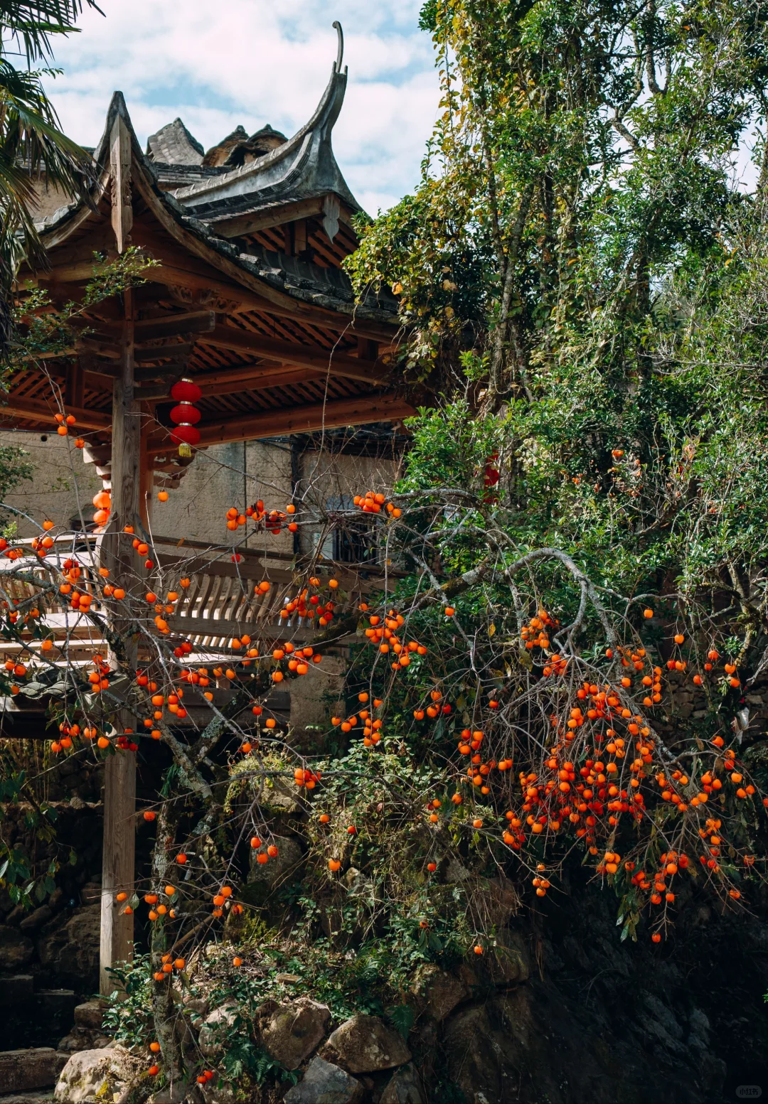 “接下来的屏南,堪称福建中式秋景天花板”