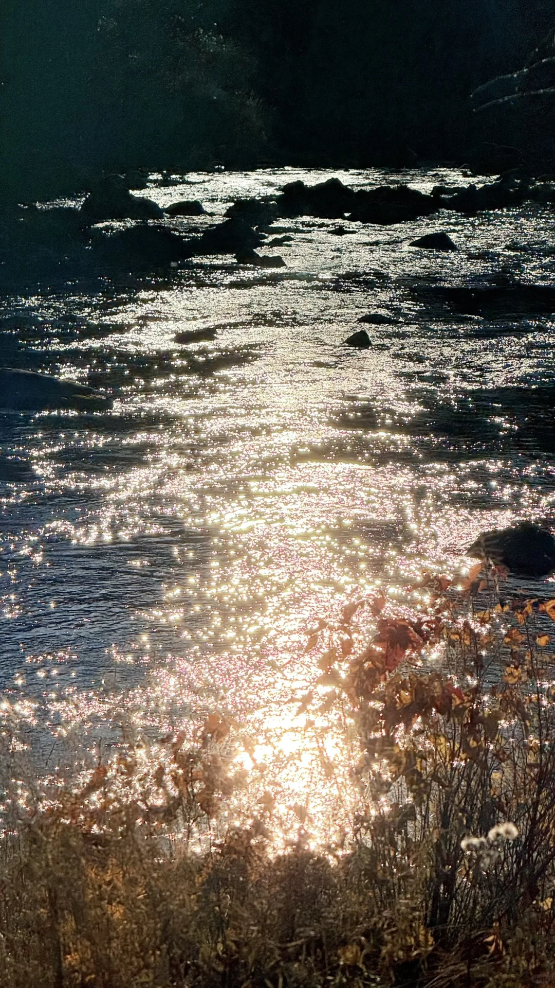 用18张live 打开大兴安岭的秋