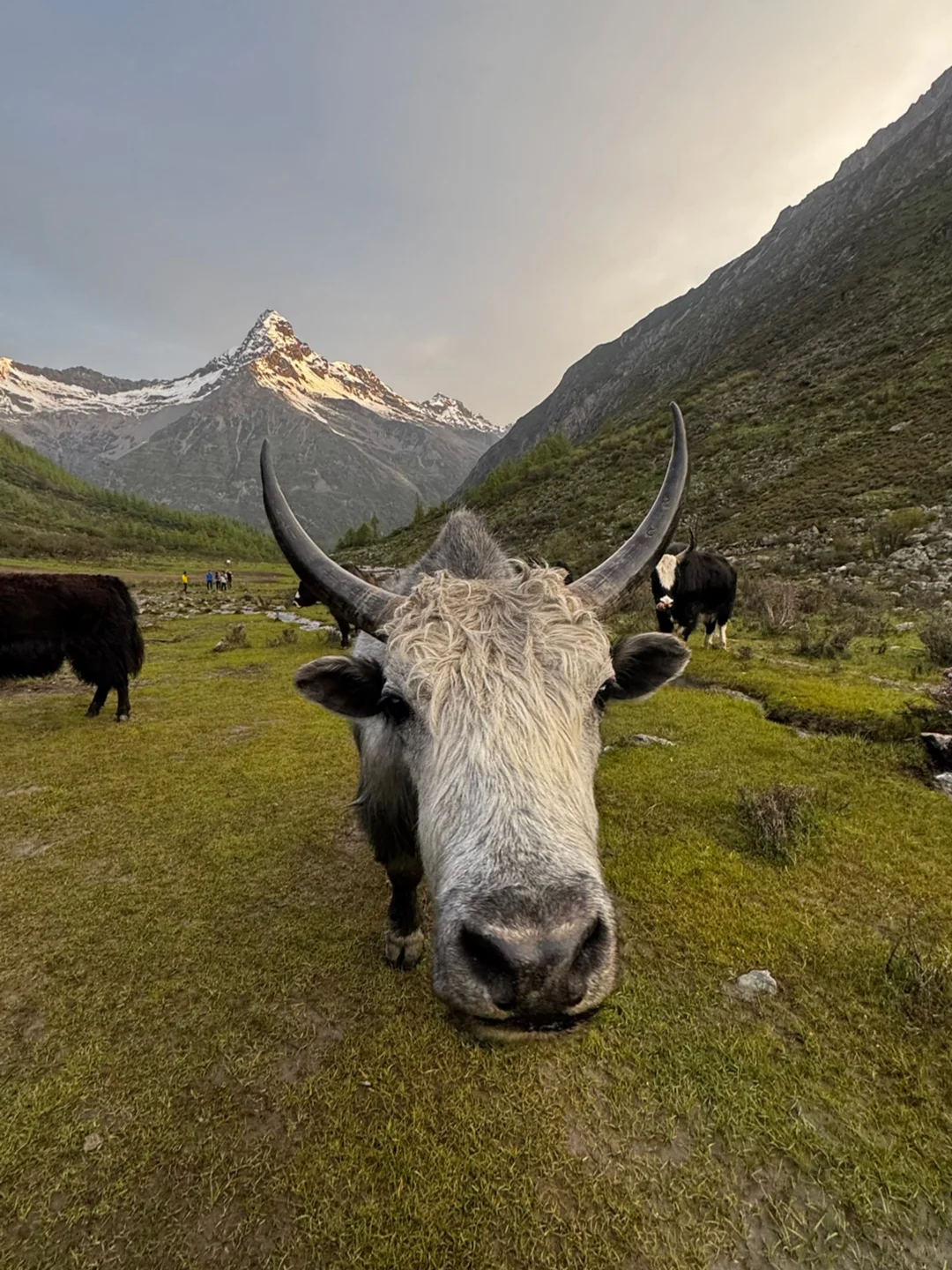 在山里|我会更接近我自己