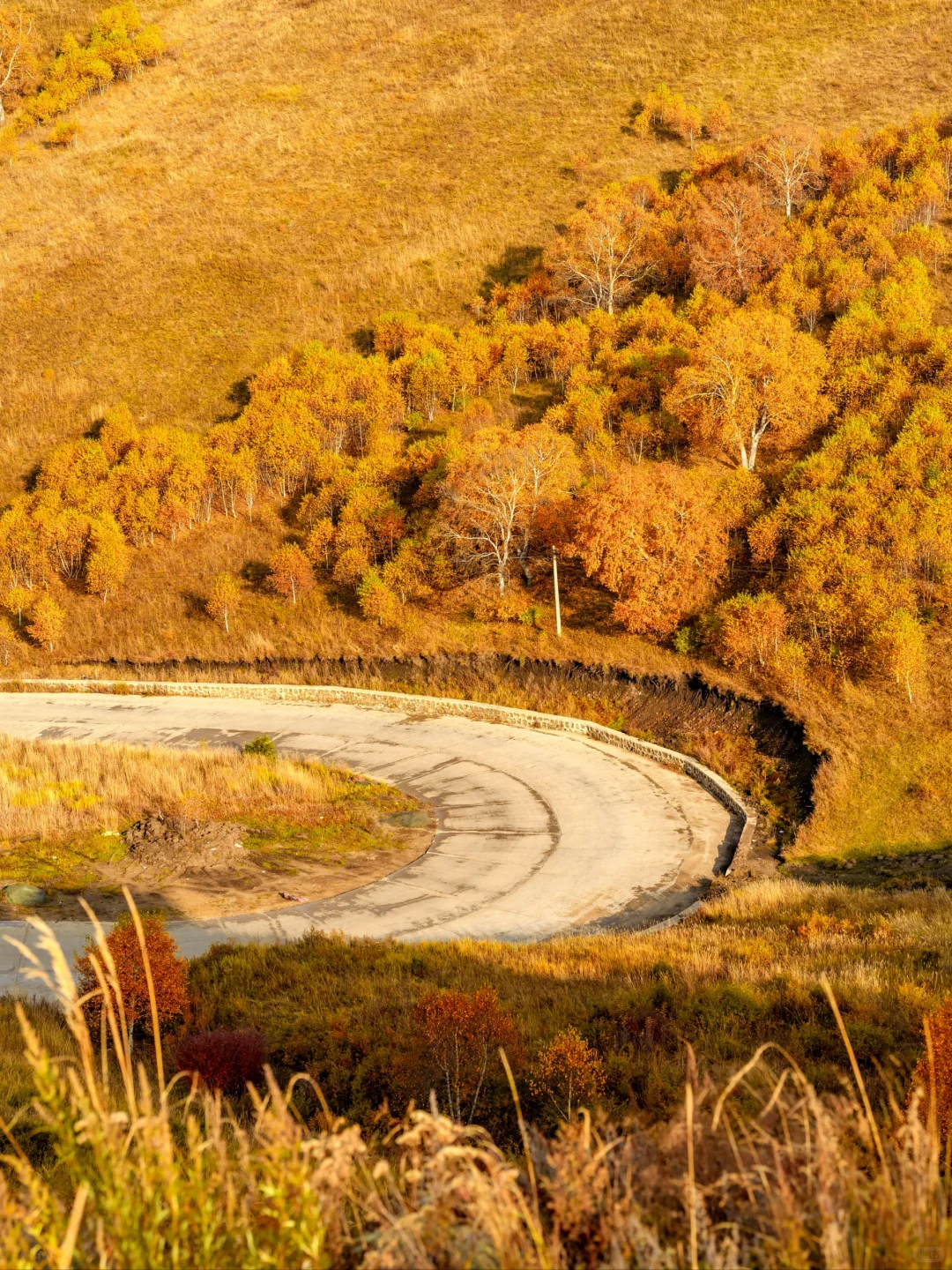 北京🚄2.5h❗️秋天必须去的宝藏秘境🍂