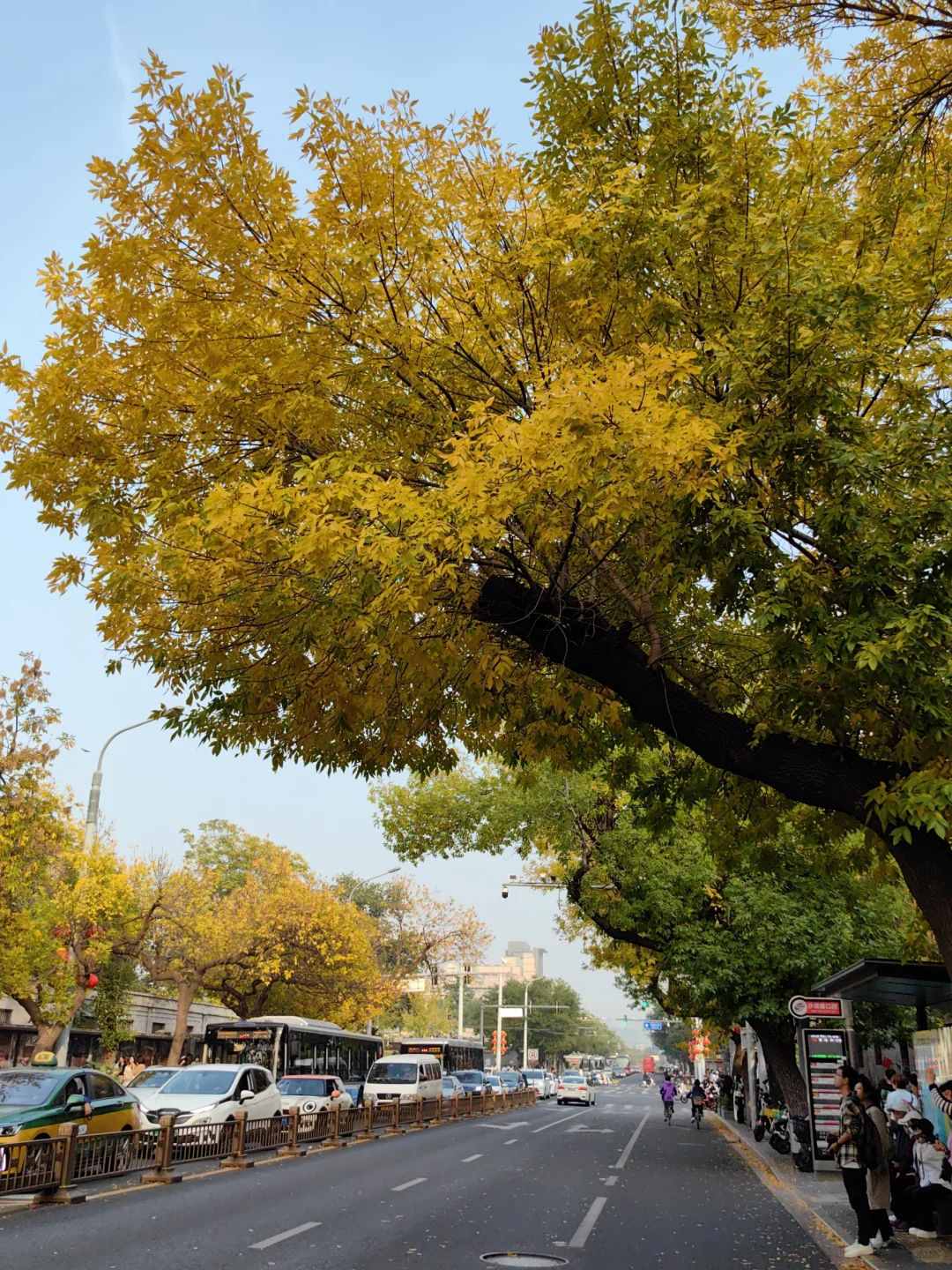 跟风成功！北京赏秋打卡地详细路线
