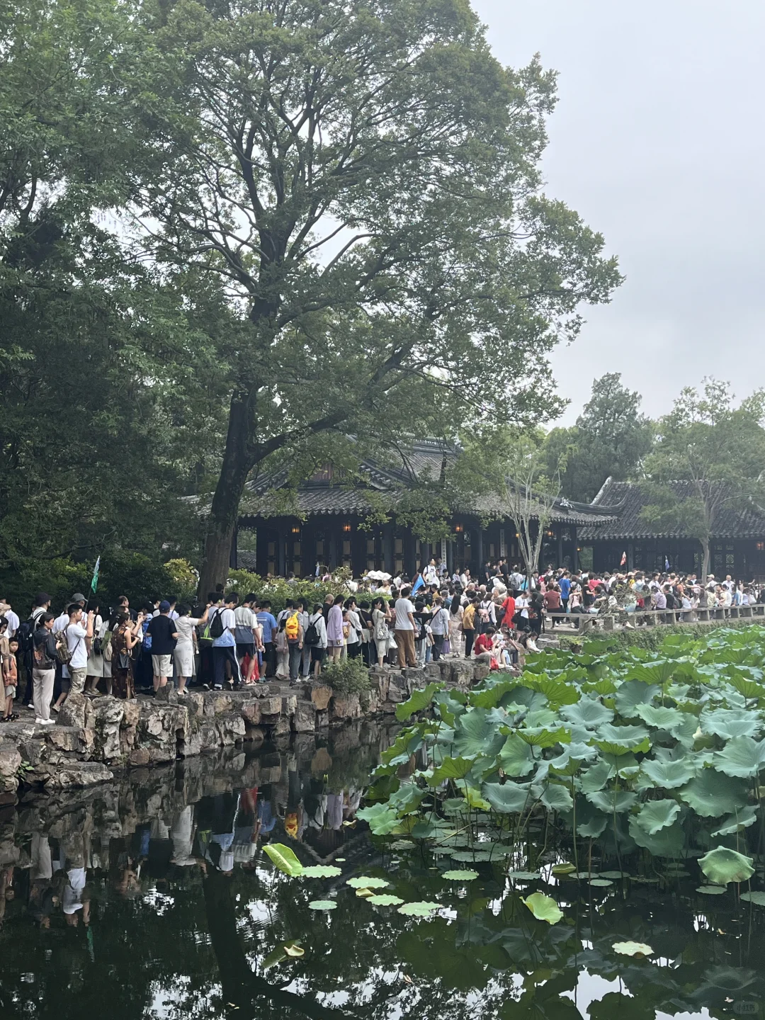 拙政园堵人，苏州堵车