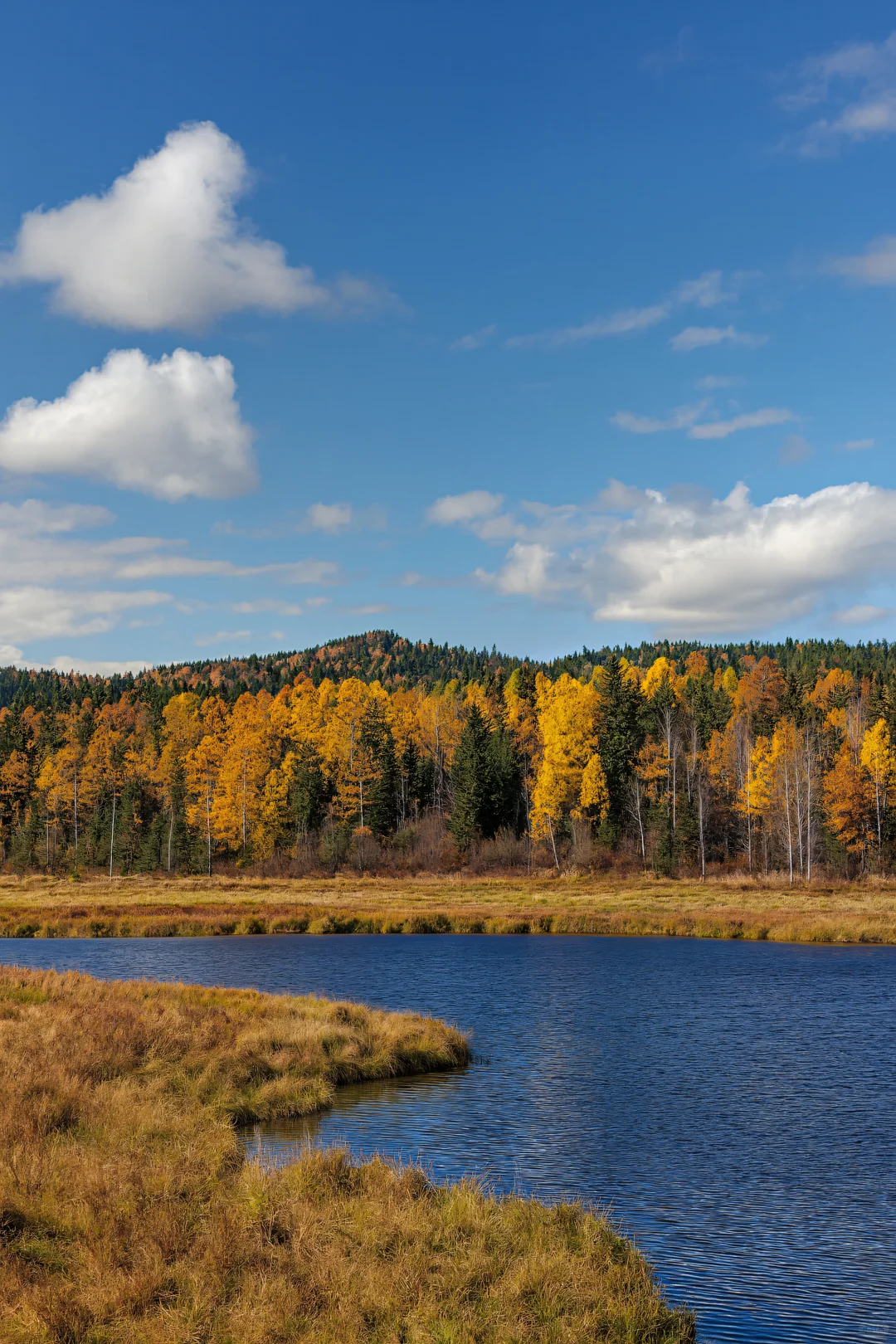 北纬47°的秋天，美成一幅油画！