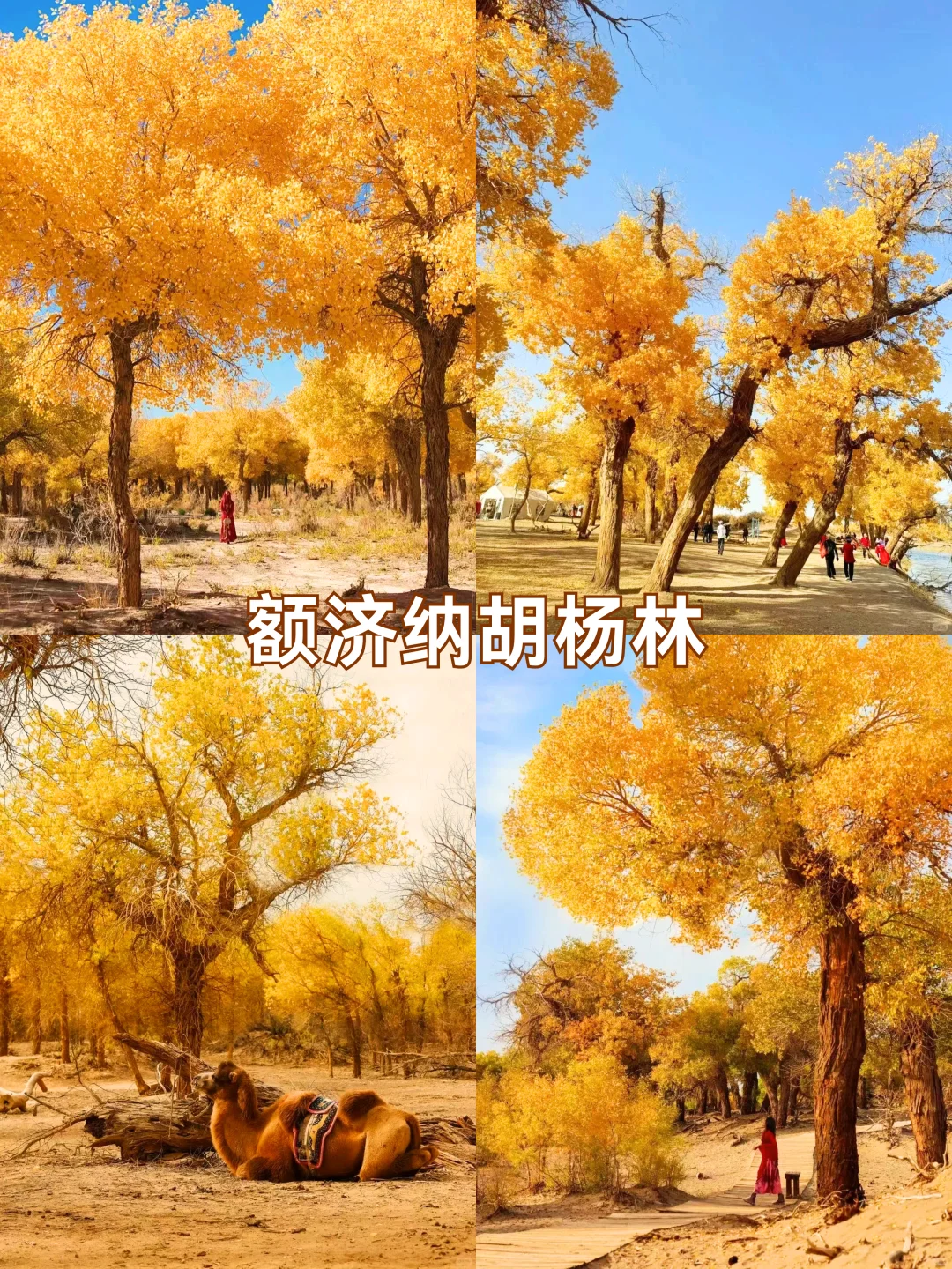 2025国内公认宝藏赏秋地Top9🍁秋色天花板