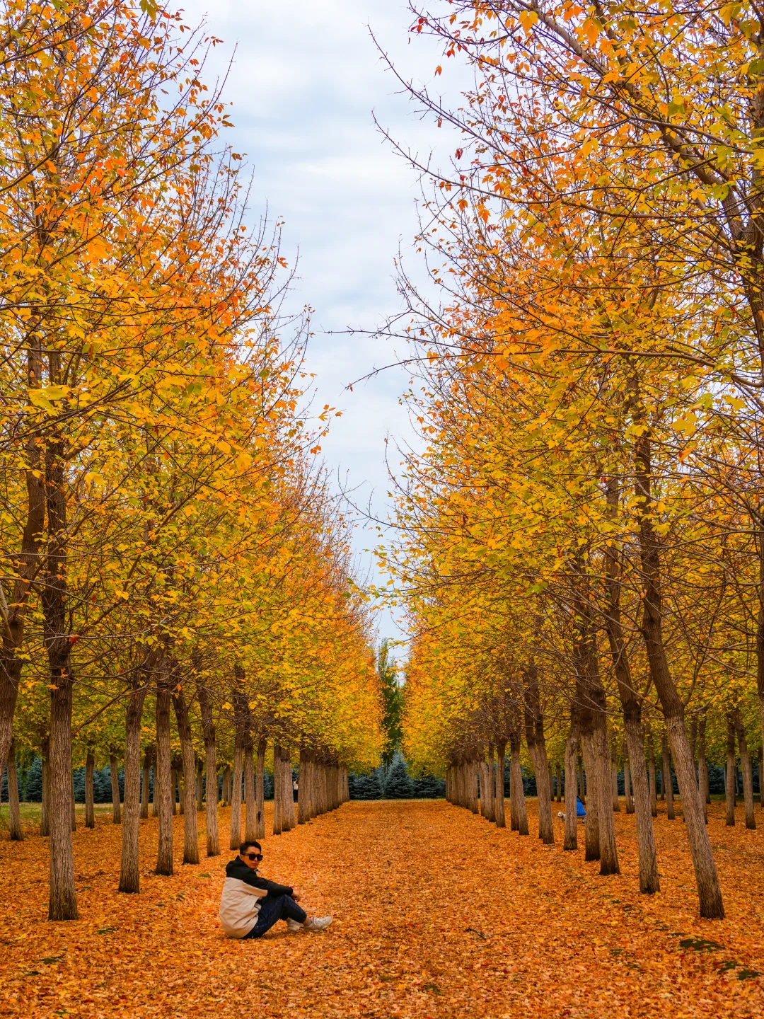 10.12实况,京郊2h🚗秋天必须去的宝藏秘境🍁