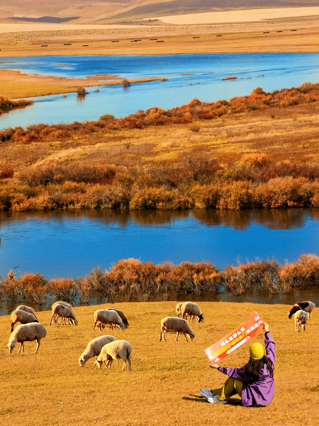 10.1实况live🍂呼伦贝尔的秋天美疯了啊啊😭