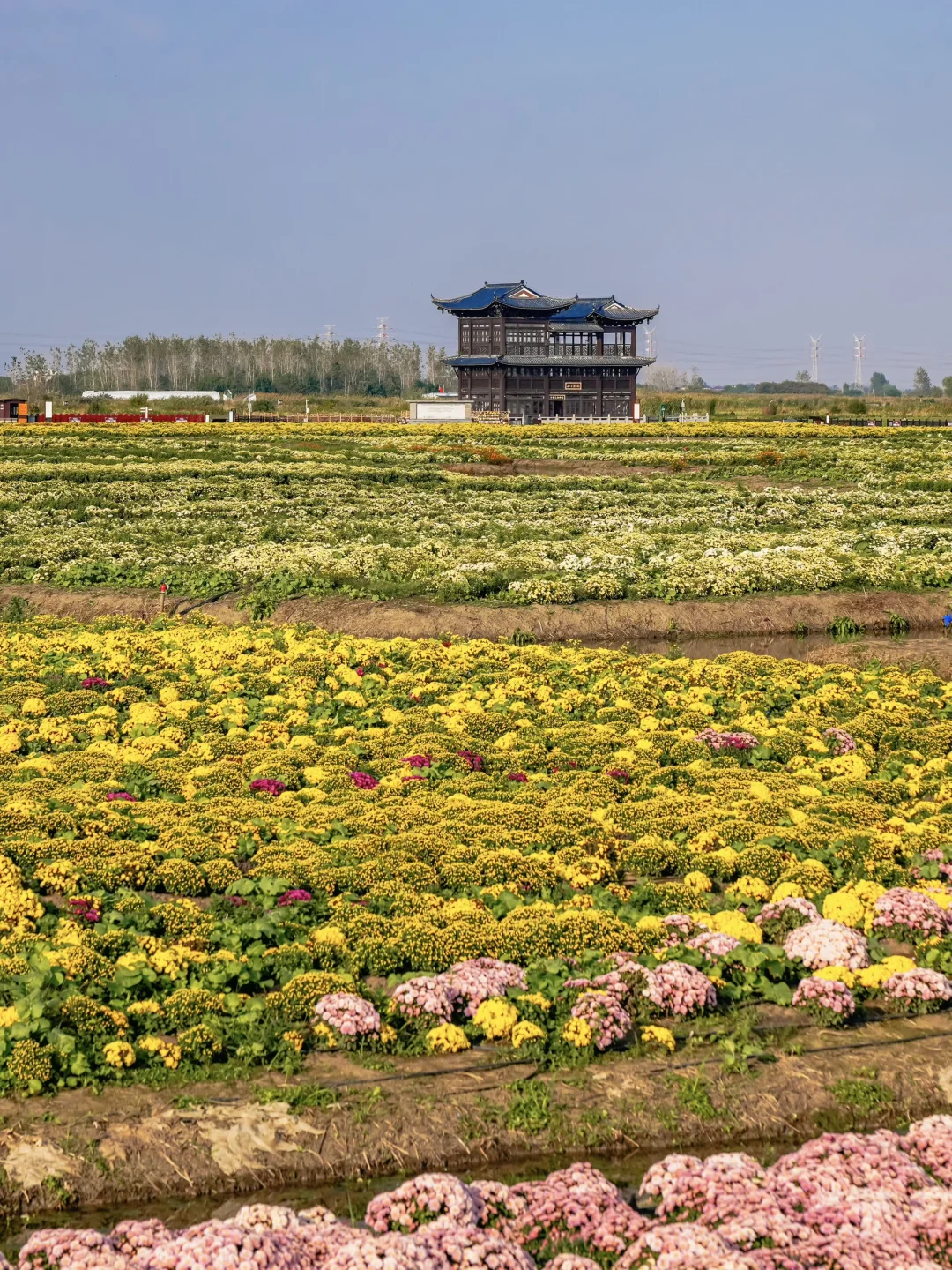 江苏人民都收到通知了吗！！！！！