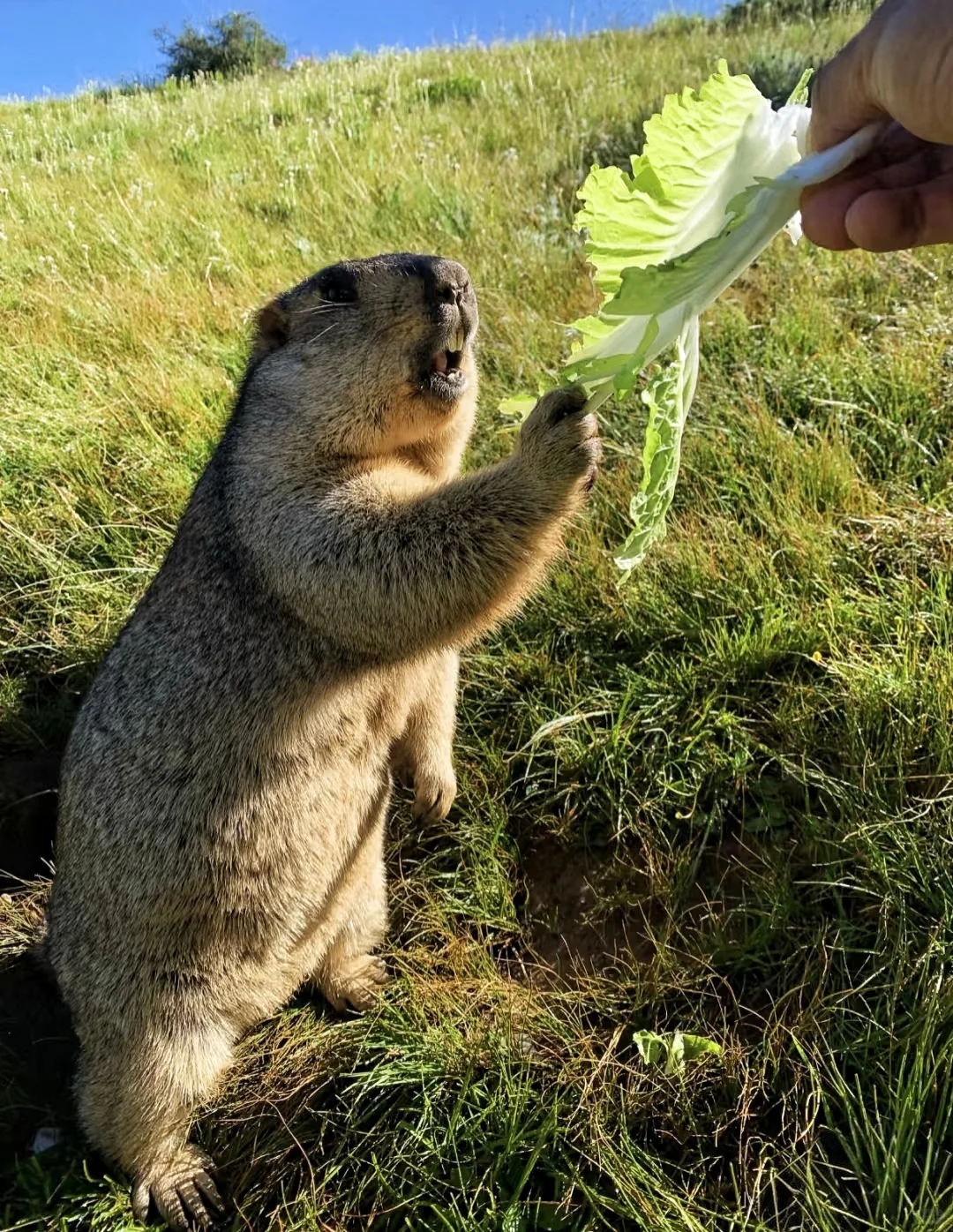 推荐6个国庆反向旅游的冷门小城