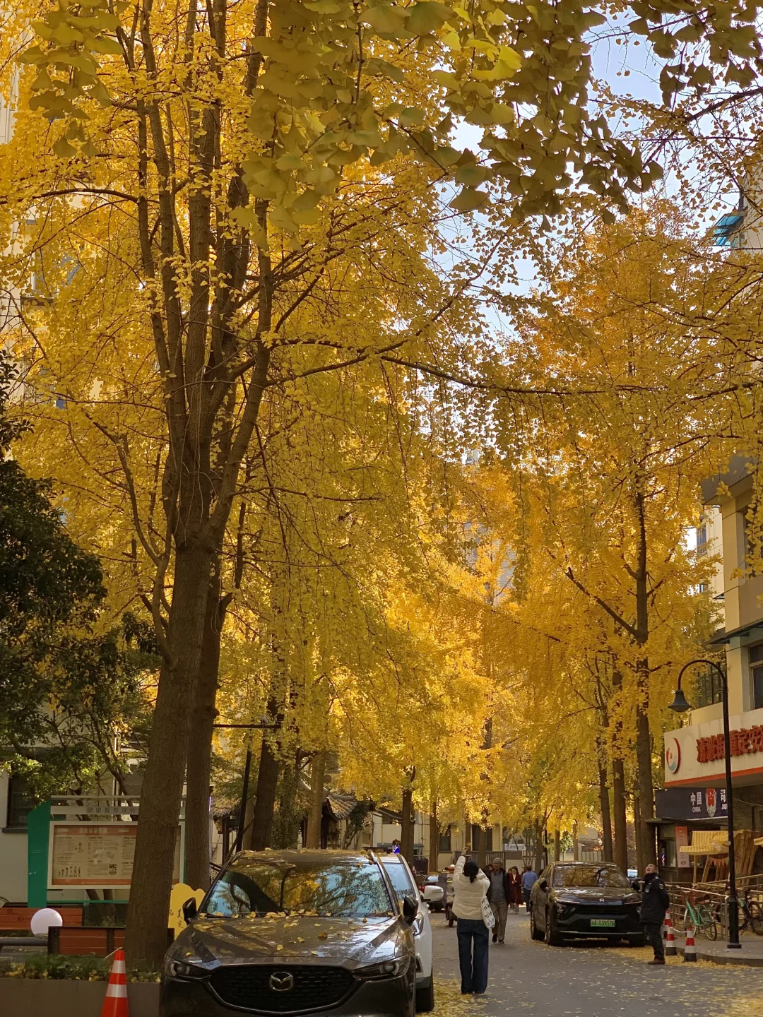 接下来的杭州…堪称秋日旅行天花板！（live版