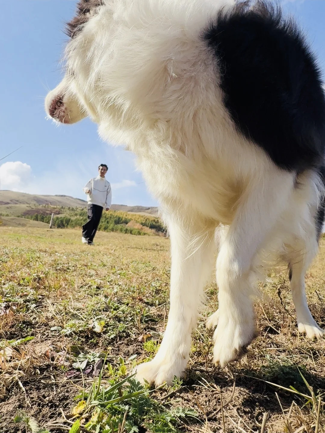 🍂 环京秋日自驾天花板！去奔赴一场秋景
