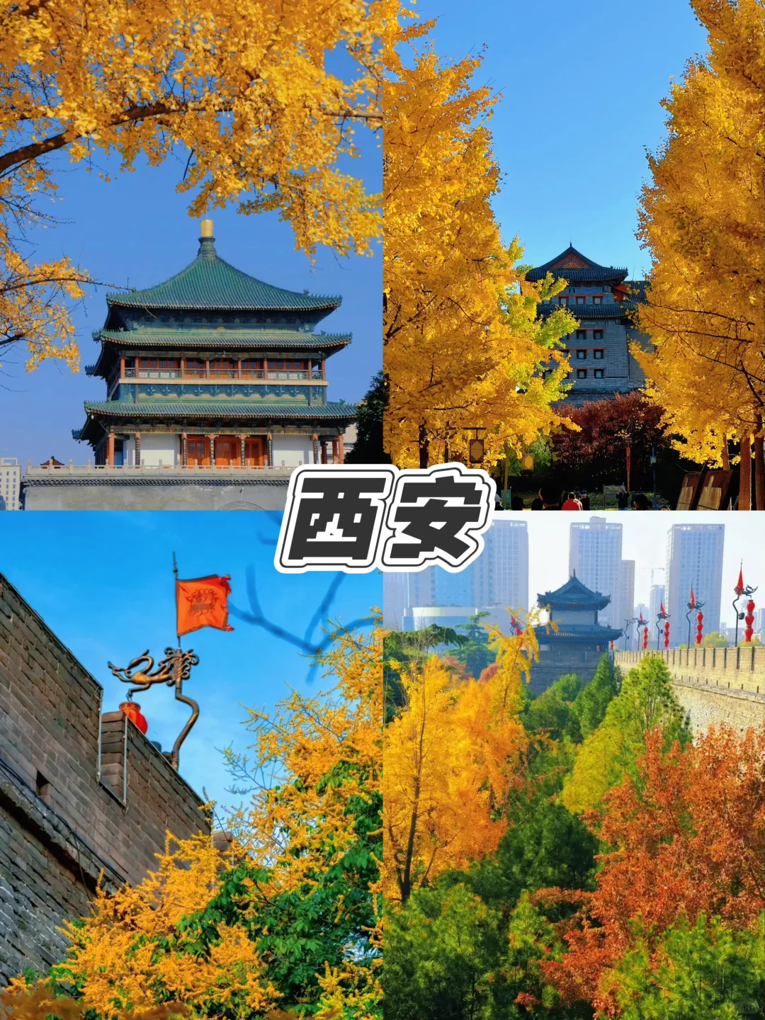 🍁9-12月必打卡城市,美到窒息,错过等一年!