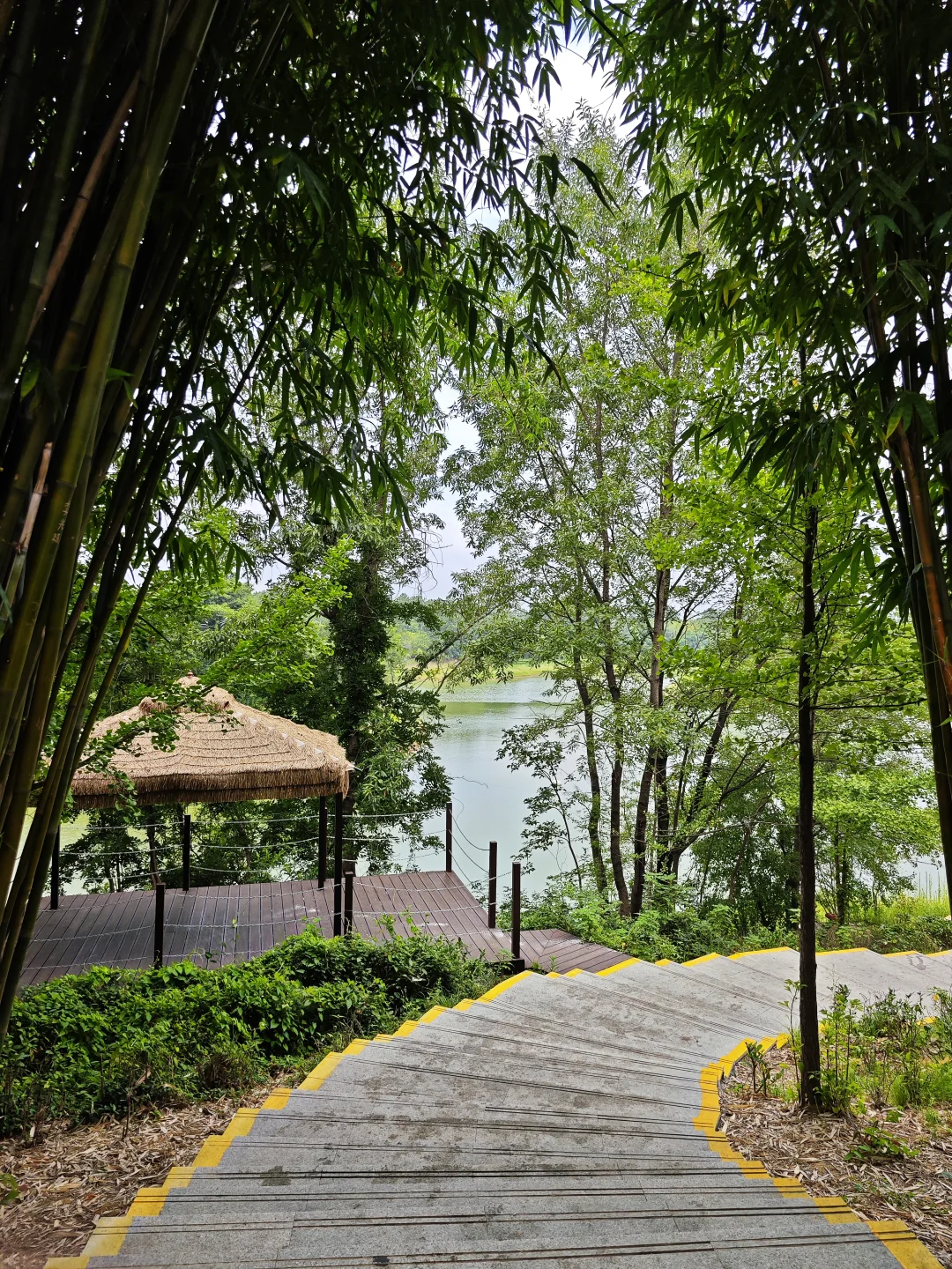 信阳📍🌳一个巨大的绿色能量场（含攻略