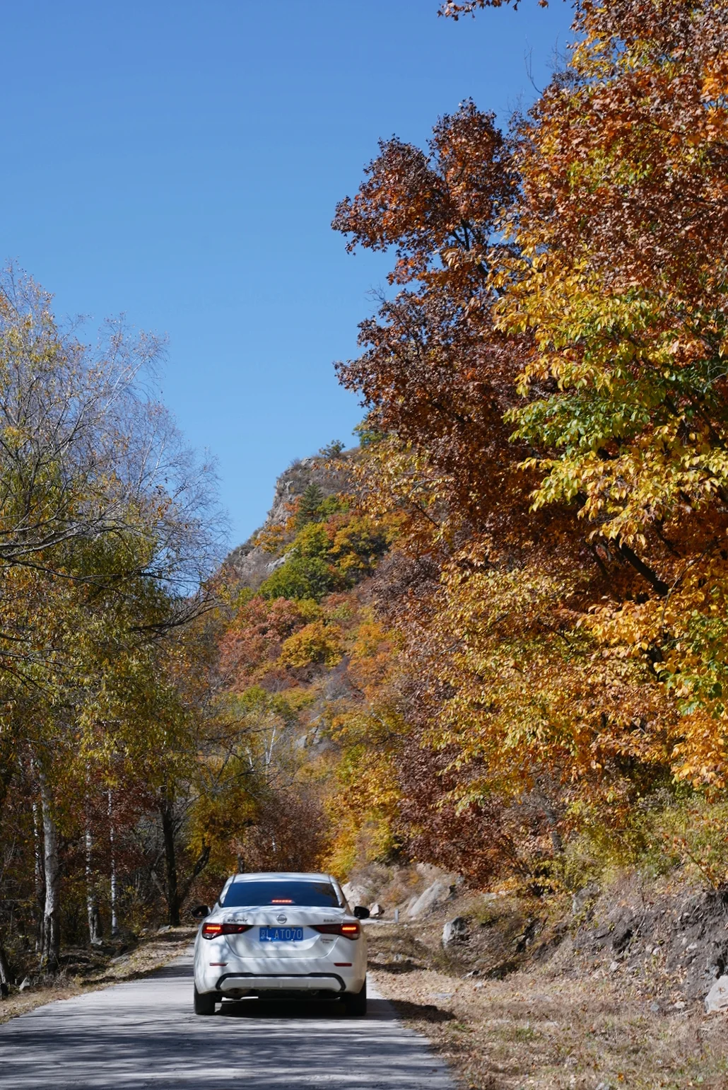 国庆赏秋10.2 | 免费人少，自驾五道沟景区
