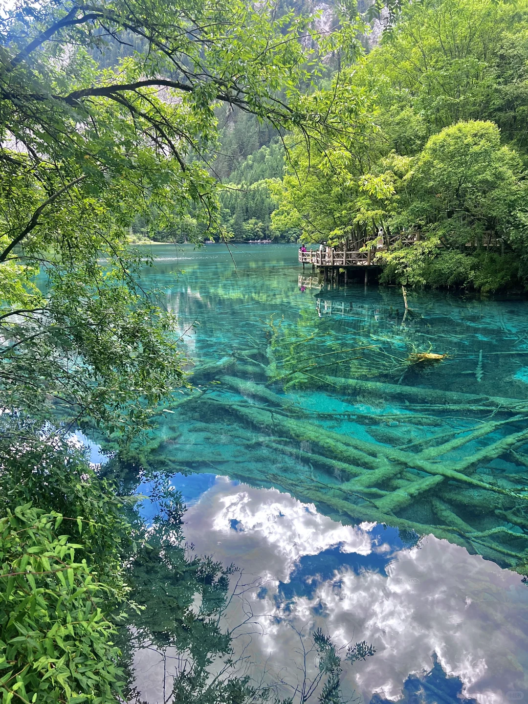 交换大家九寨沟旅游神图！！！！