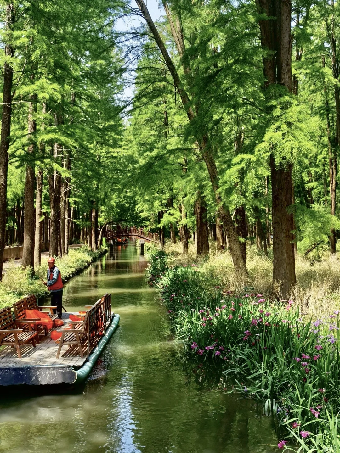 江苏人民都收到通知了吗！！！！！