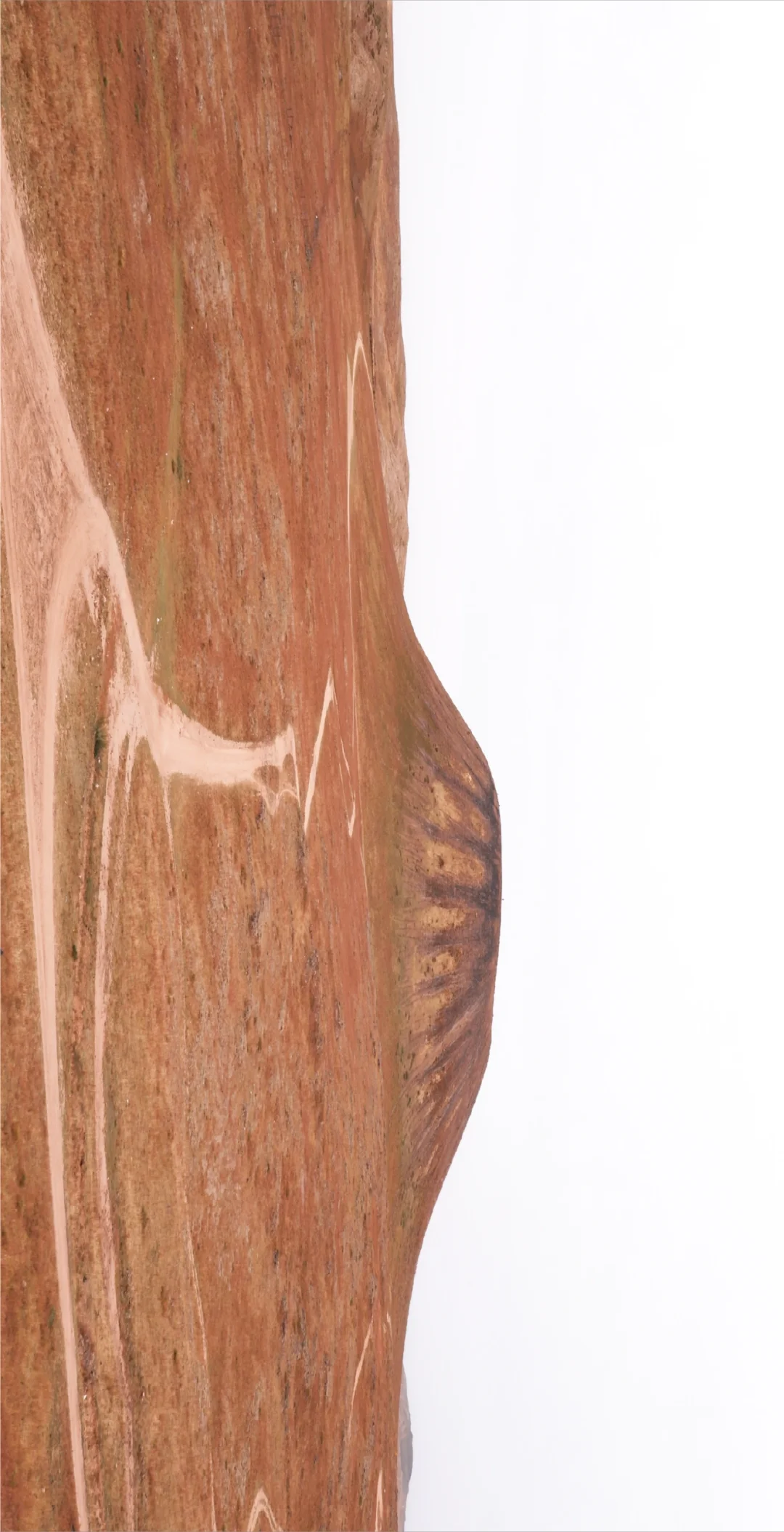 乌兰哈达火山有虫灾