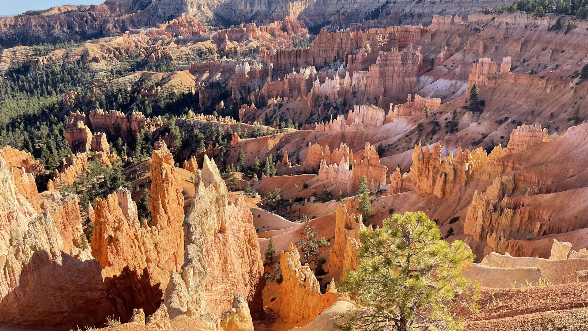 美国旅游和国内旅游的不同感受