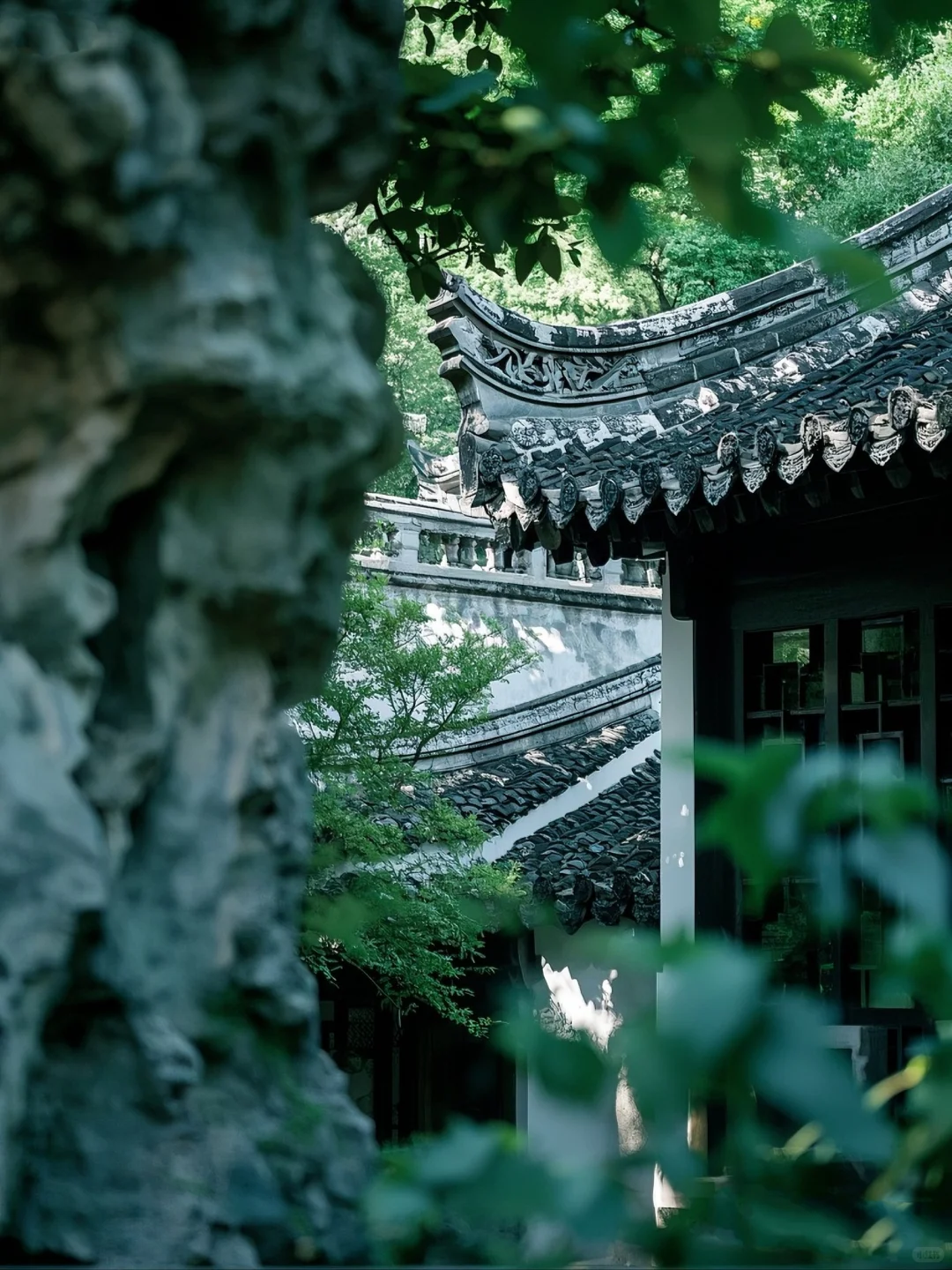 🌳走进狮子林，探江南园林之妙