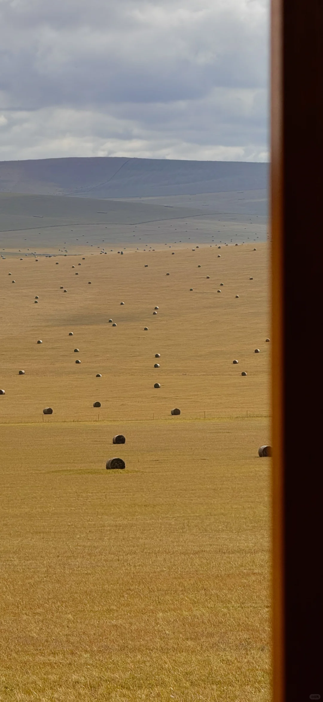 用18张live 打开大兴安岭的秋