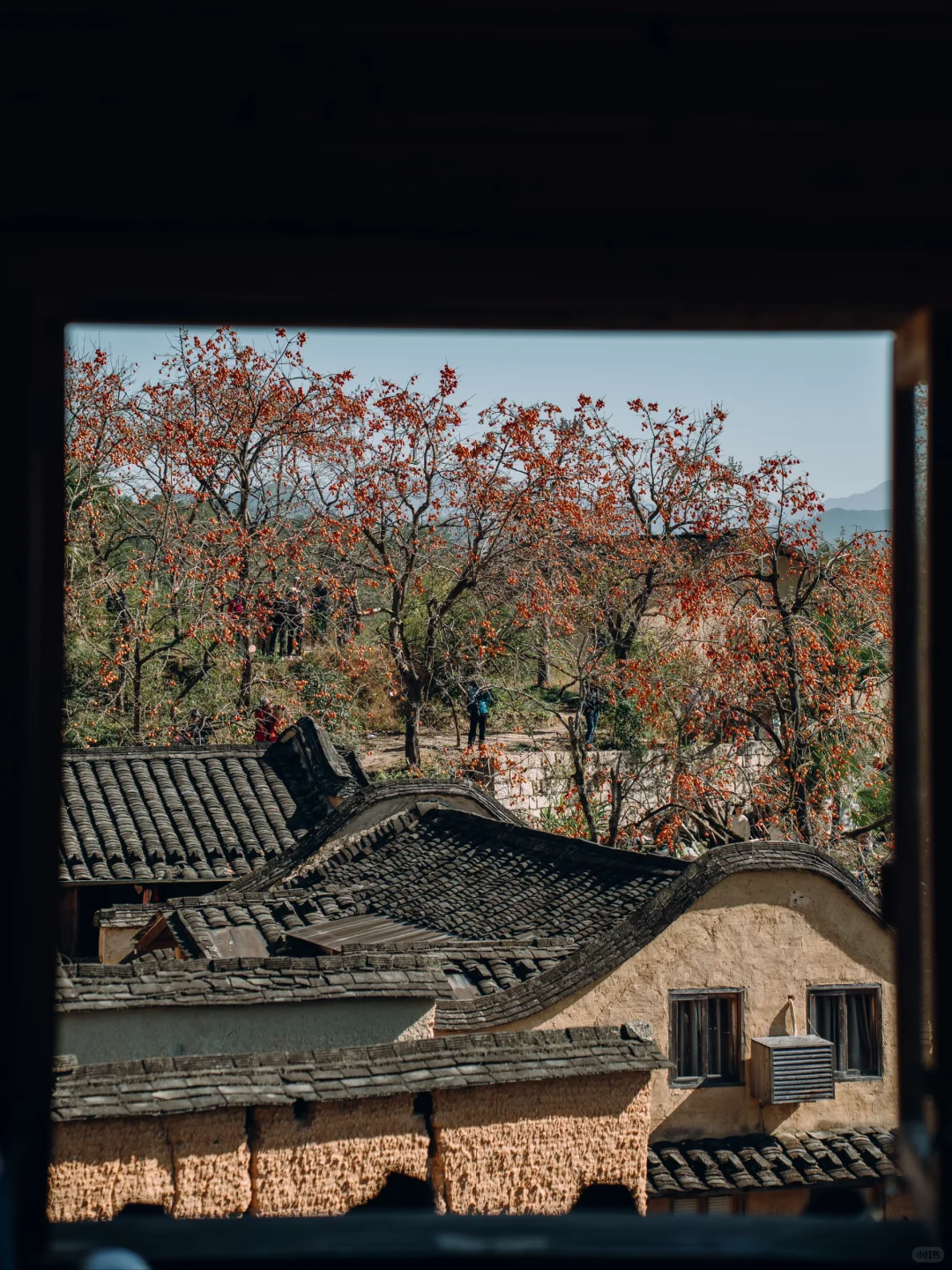 “接下来的屏南,堪称福建中式秋景天花板”