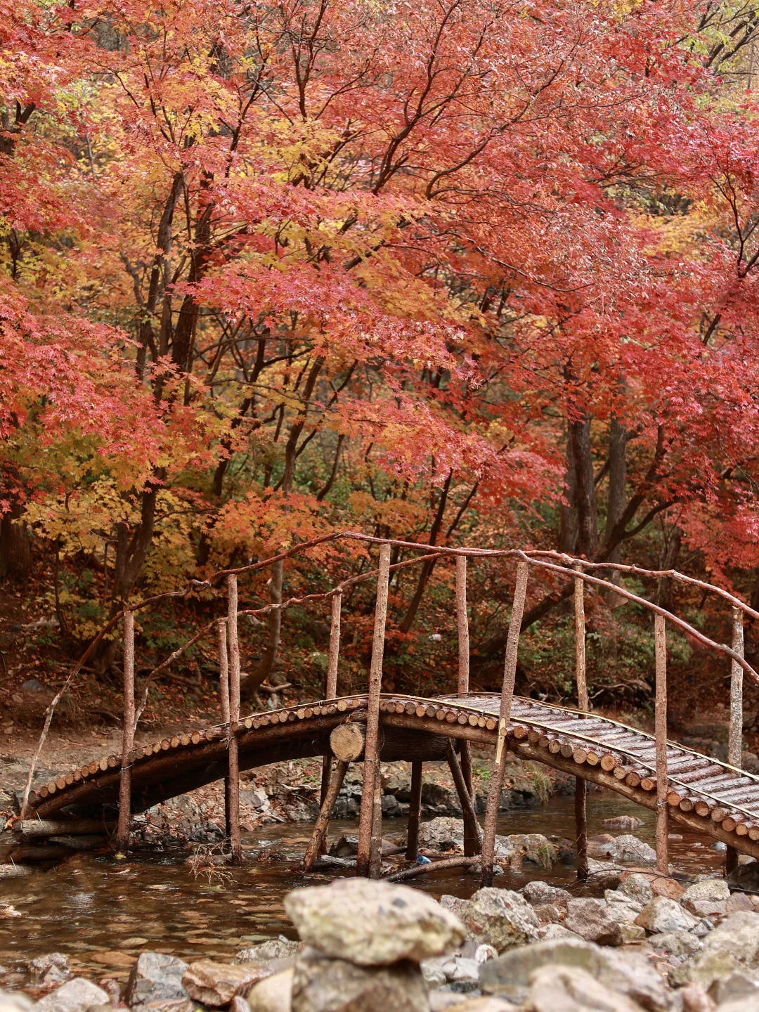 接下来的本溪，将是国内赏秋🍁最佳旅行地！！