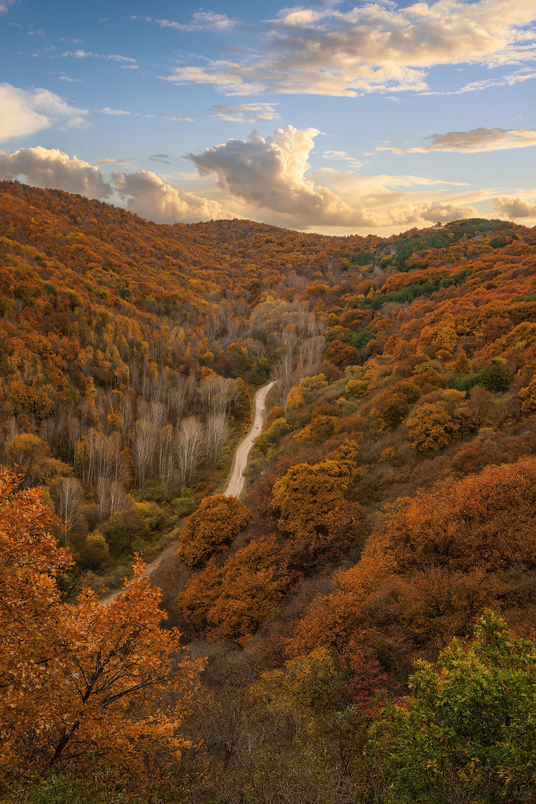 比草原还惊艳！五道沟的秋色太浪漫了