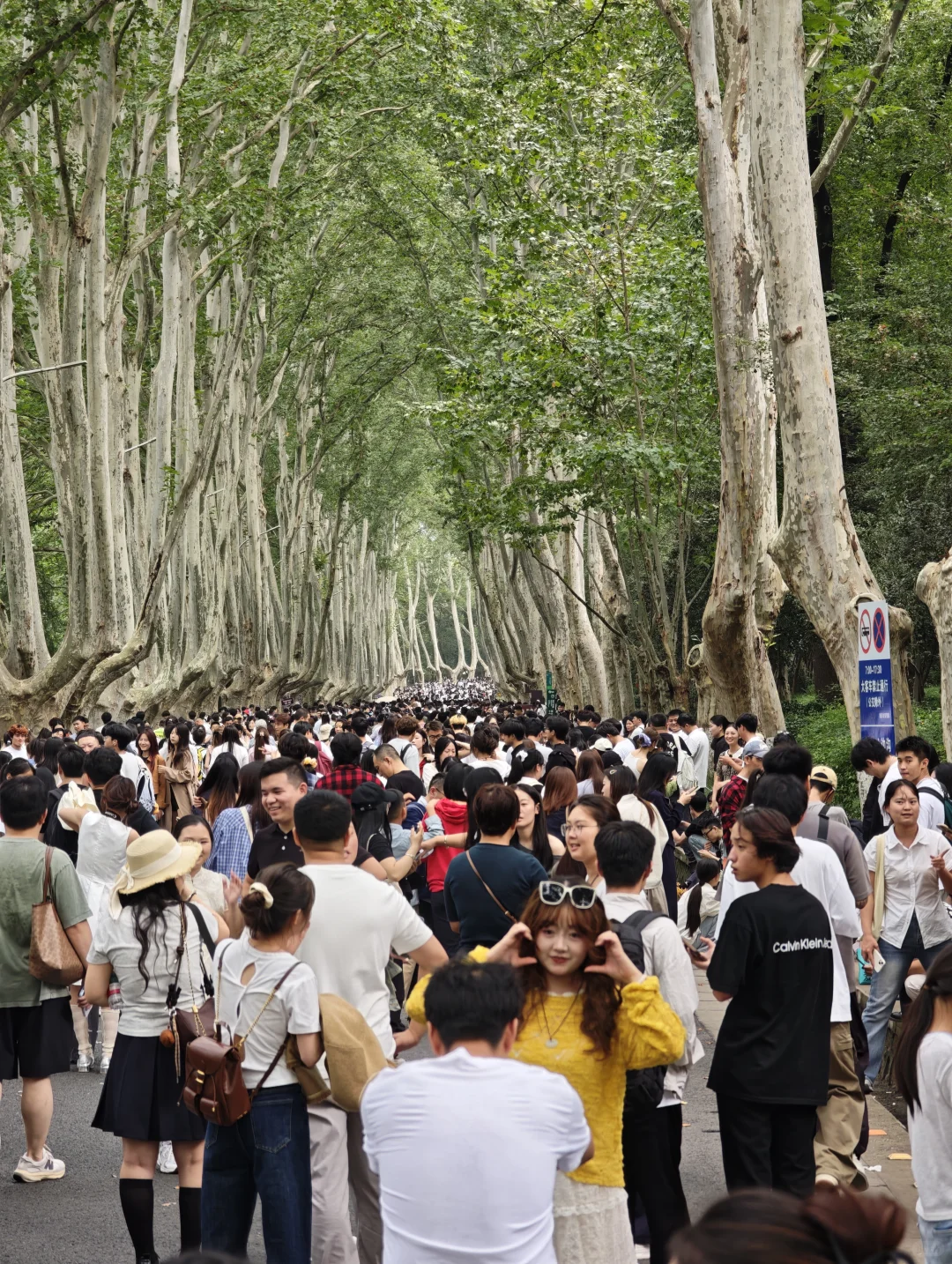 2025.10.1中午11点45，梧桐大道