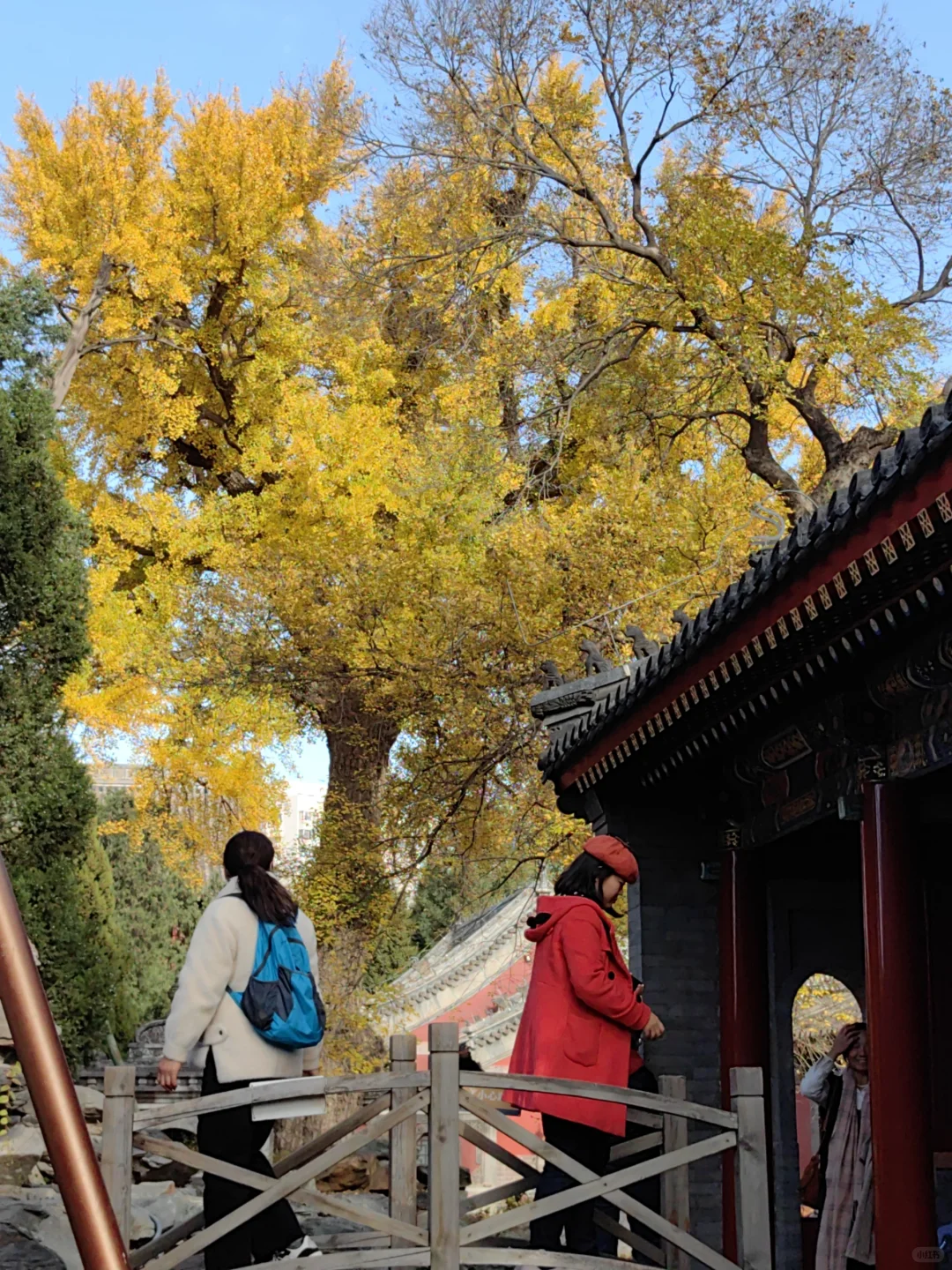 跟风成功！北京赏秋打卡地详细路线