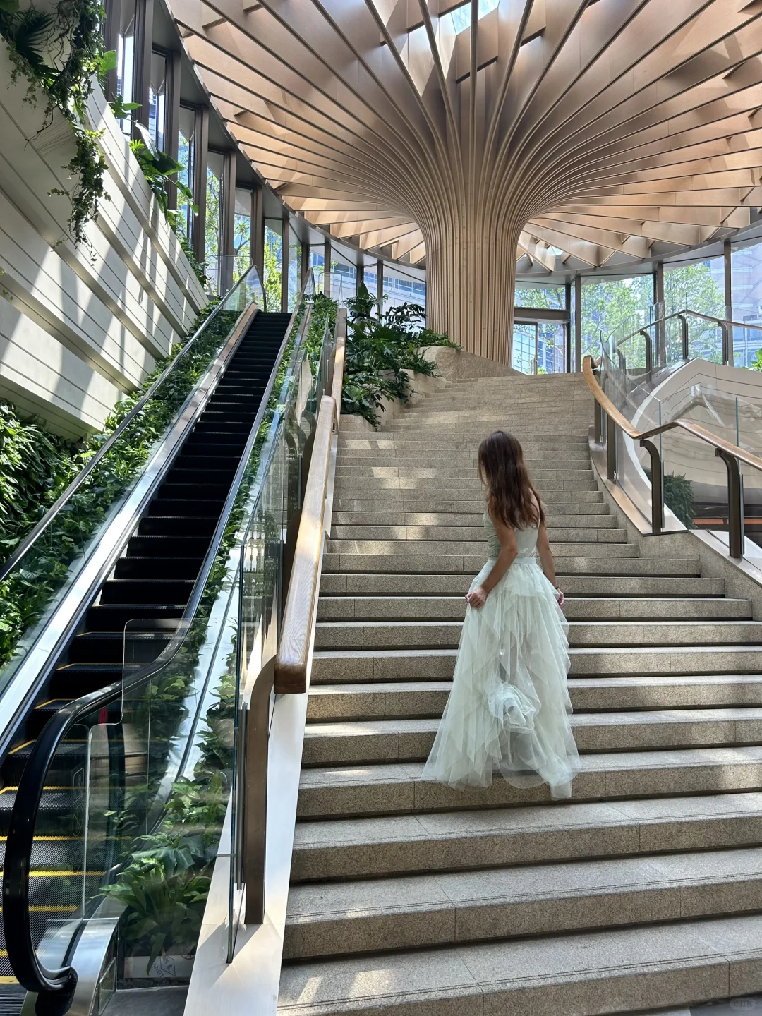 为了这18张live图📷来了趟南京……附具体位置