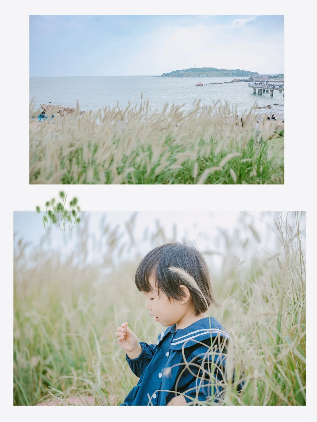 青岛亲子游天花板| 海之恋+小麦岛旅游攻略