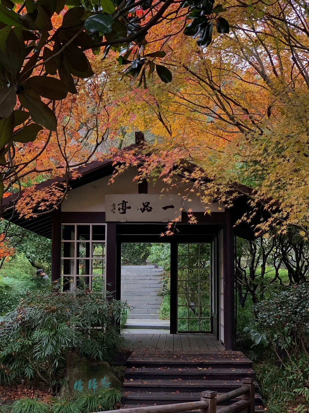 接下来的杭州…堪称秋日旅行天花板！（live版