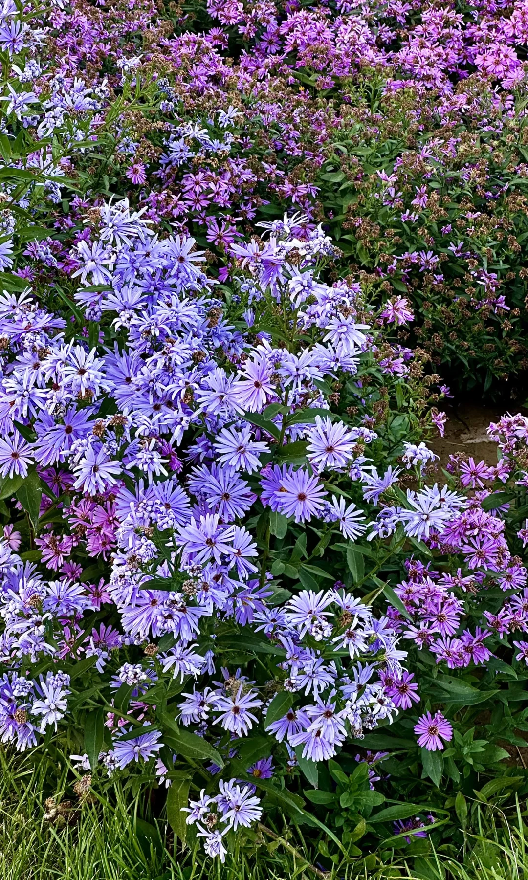 ⛰️太原老龙头景区开放啦！美景全屏图直击！