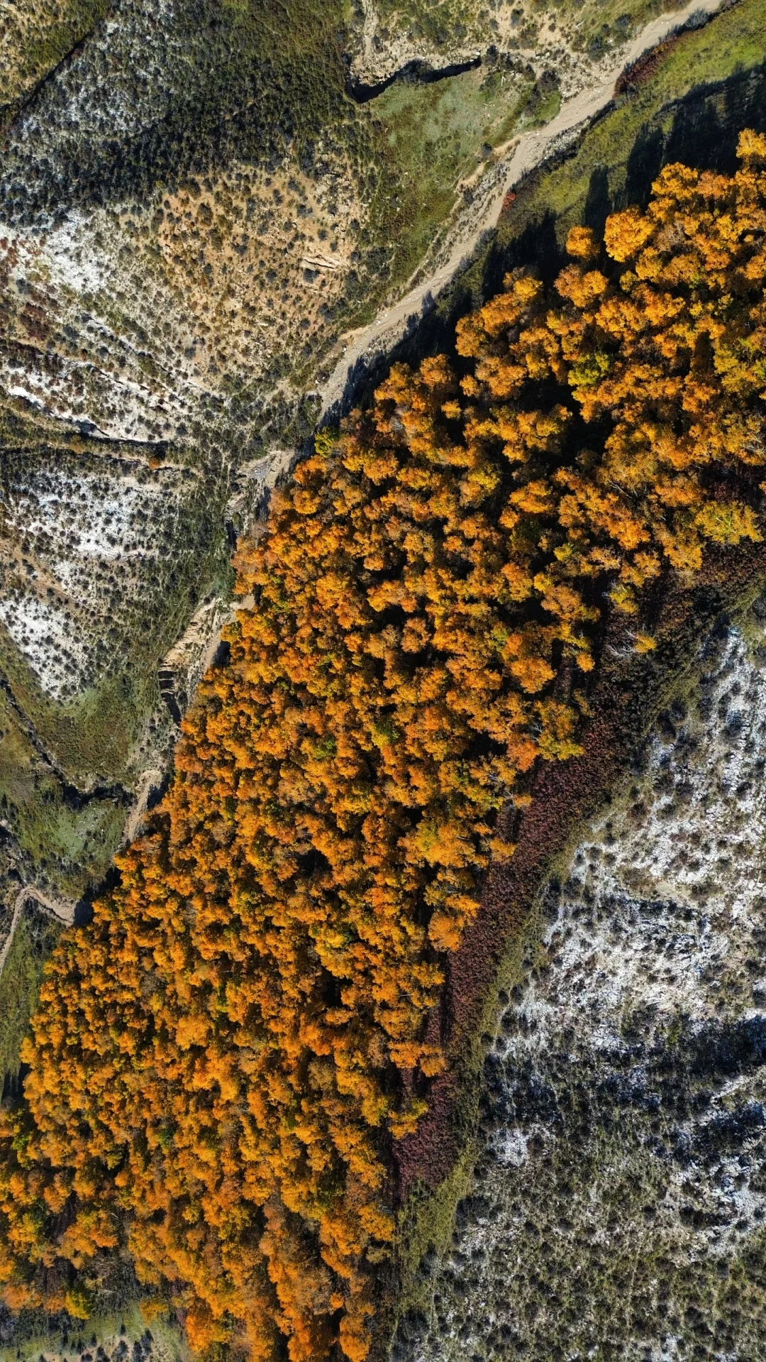 包头以及周边徒步赏秋推荐