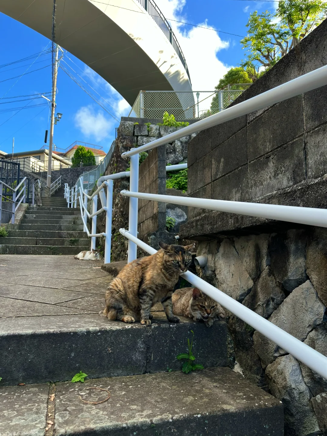 长崎真的非常像漫画「你的名字」