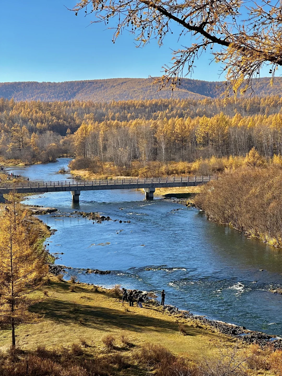10.1实况live🍂呼伦贝尔的秋天美疯了啊啊😭