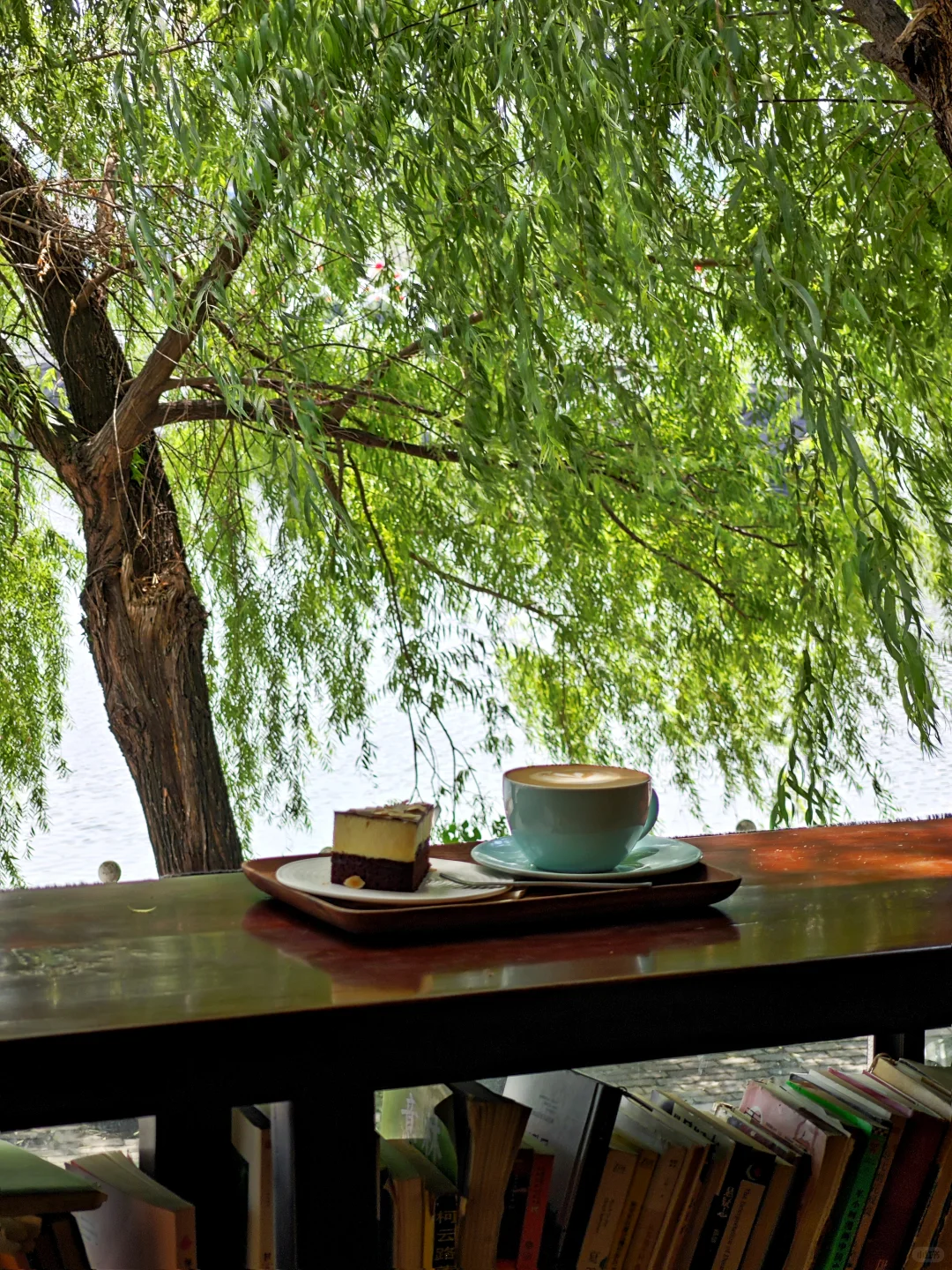 信阳📍🌳一个巨大的绿色能量场（含攻略