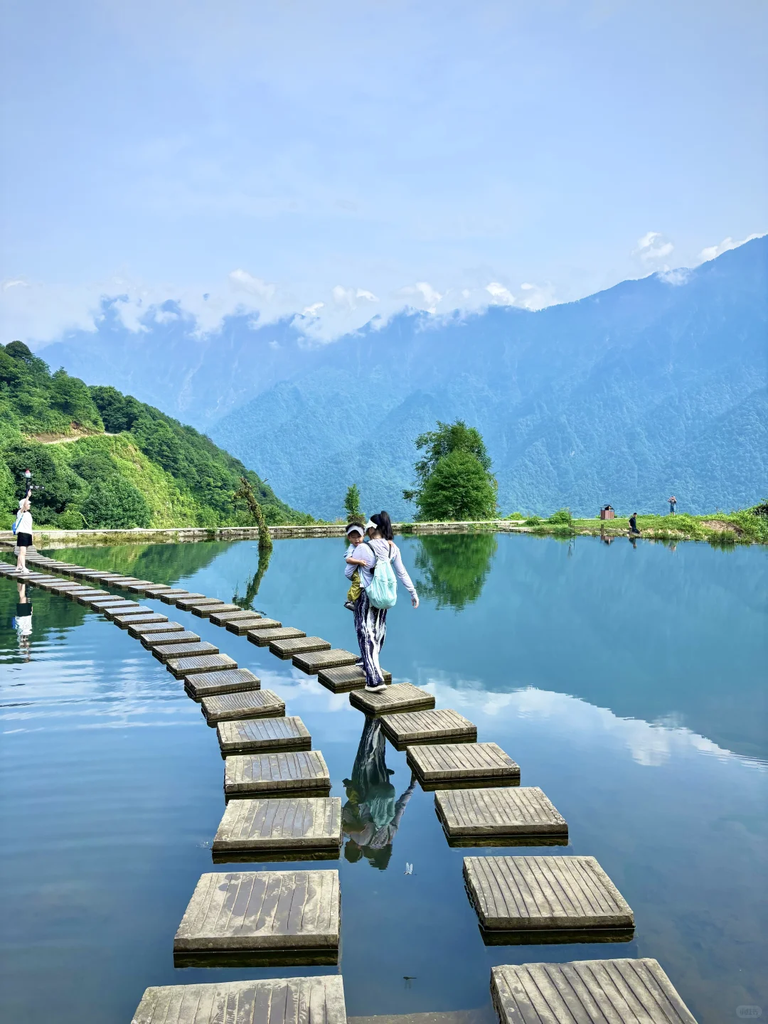 不想爬山又想凉快且绿植茂盛的地方