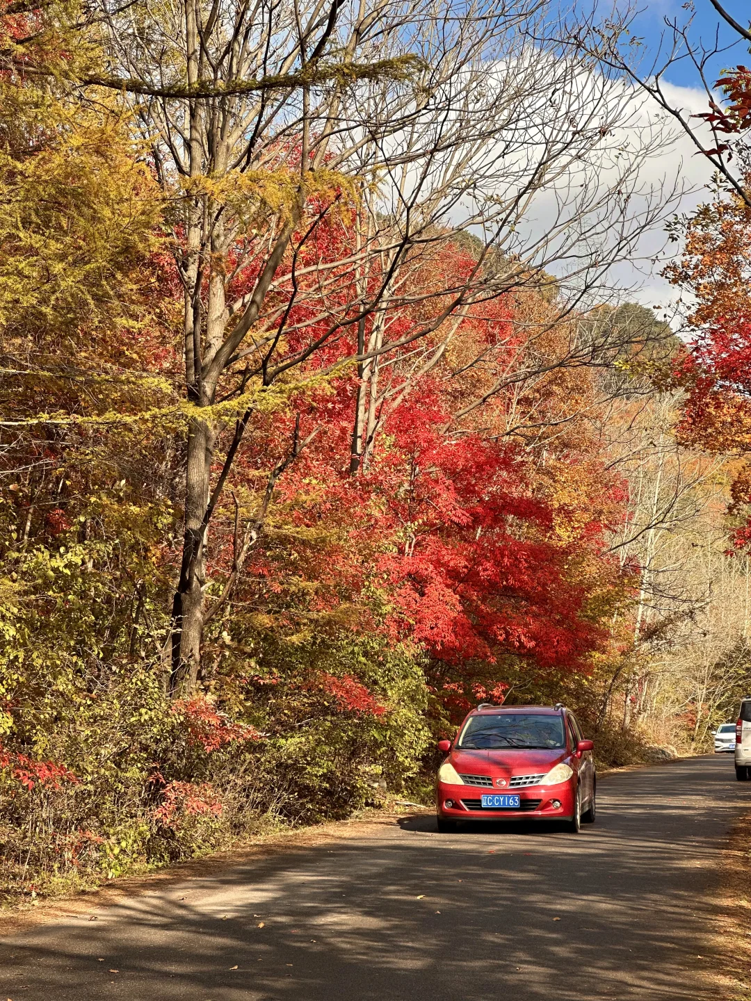 接下来的本溪，将是国内赏秋🍁最佳旅行地！！