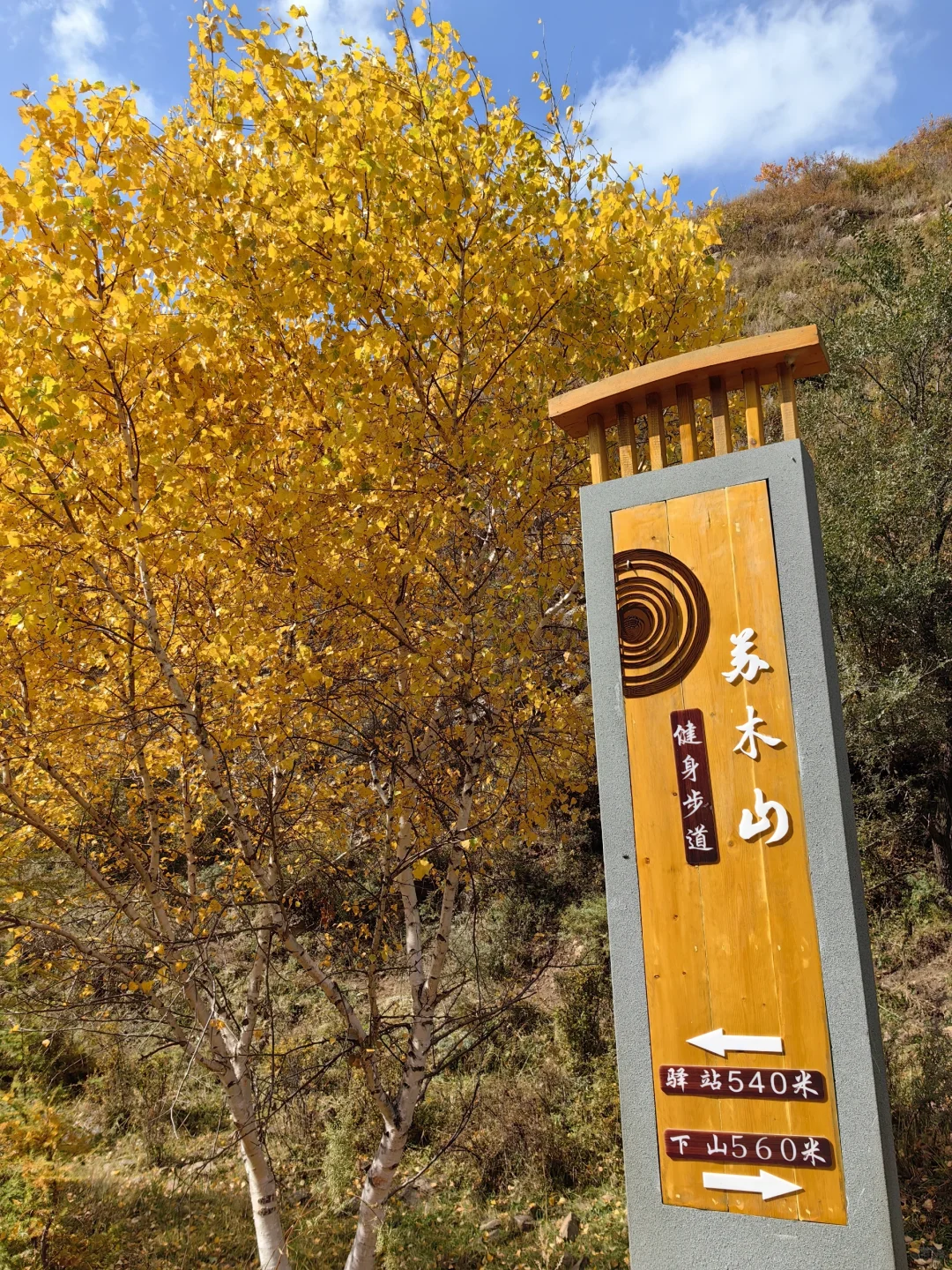 📍乌兰察布·苏木山森林公园