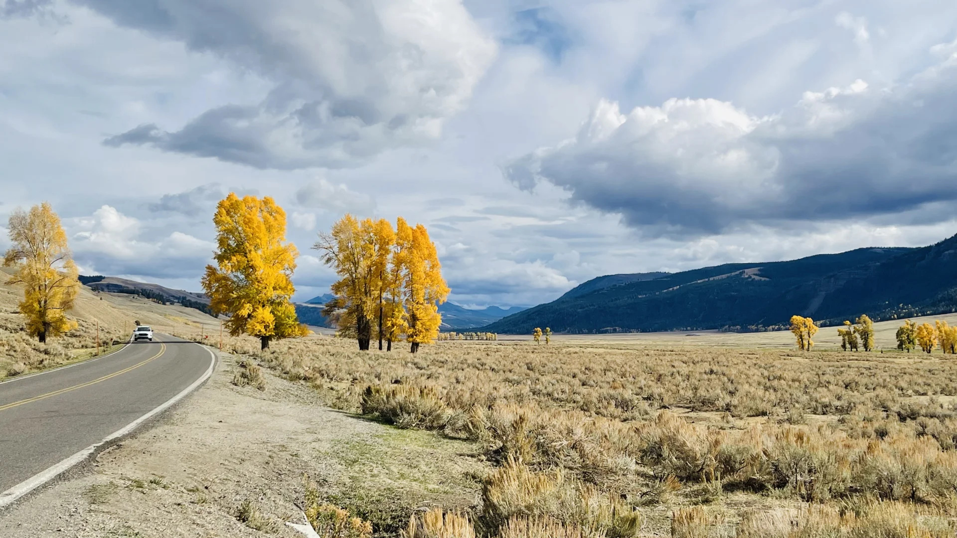 美国旅游和国内旅游的不同感受