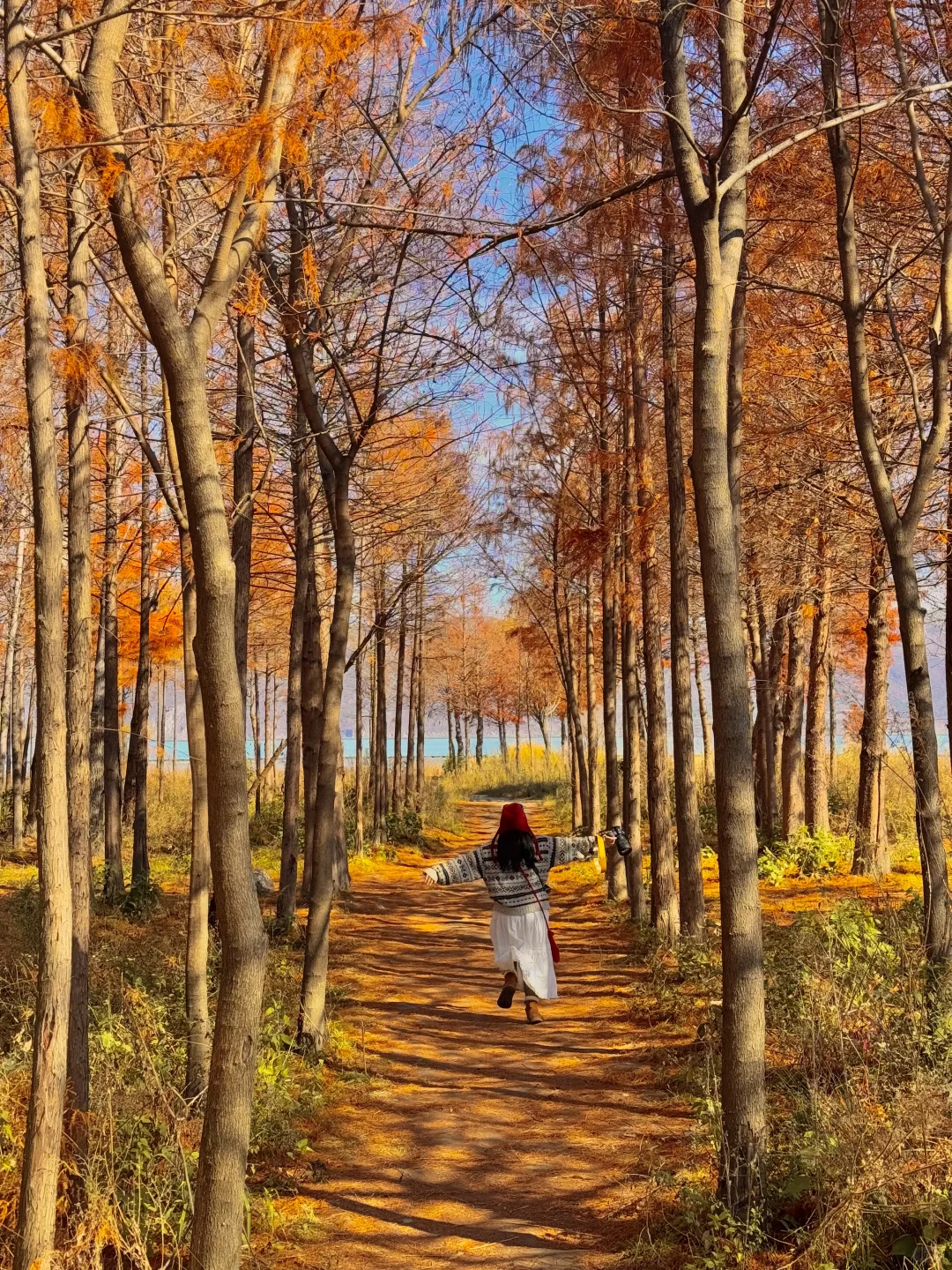 大理的秋天🍂每一帧都是人生Live呀！！！！