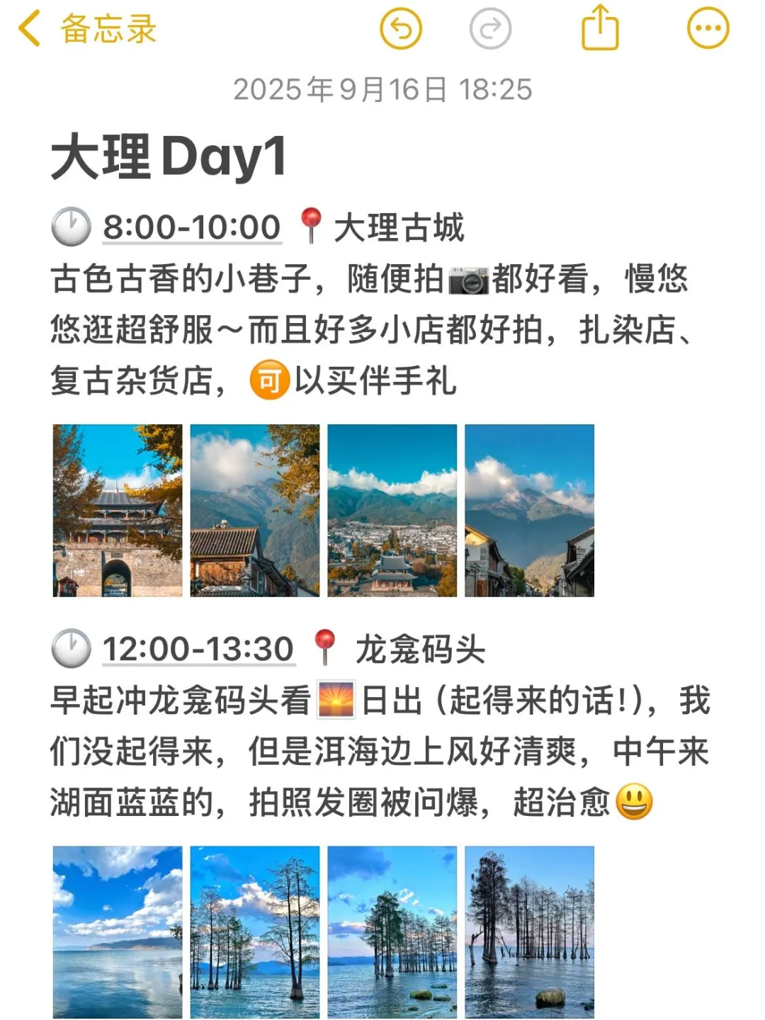 对J人男朋友做的大理攻略甚是满意。。。