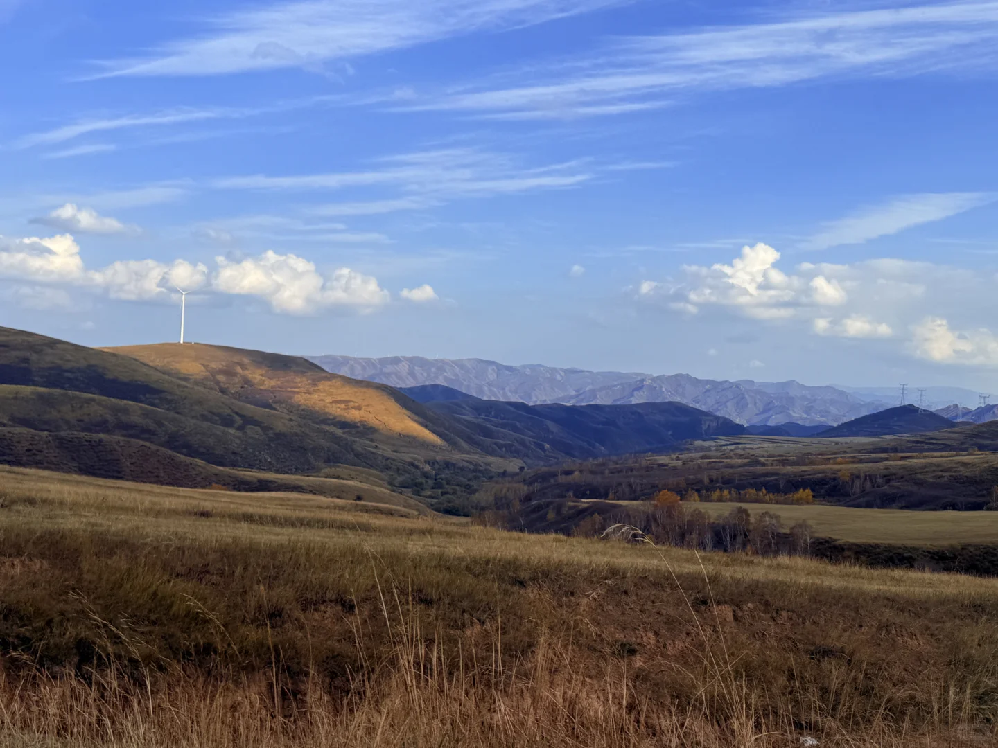 🍂 环京秋日自驾天花板！去奔赴一场秋景