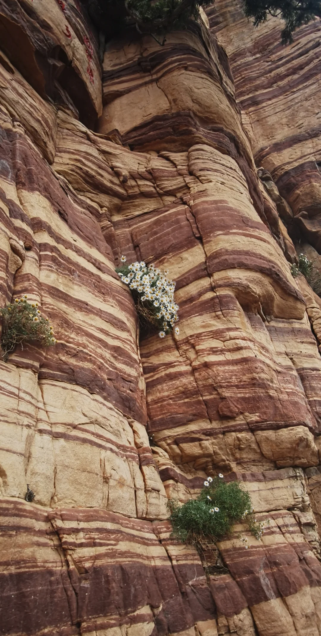 邯郸东太行！值得一去