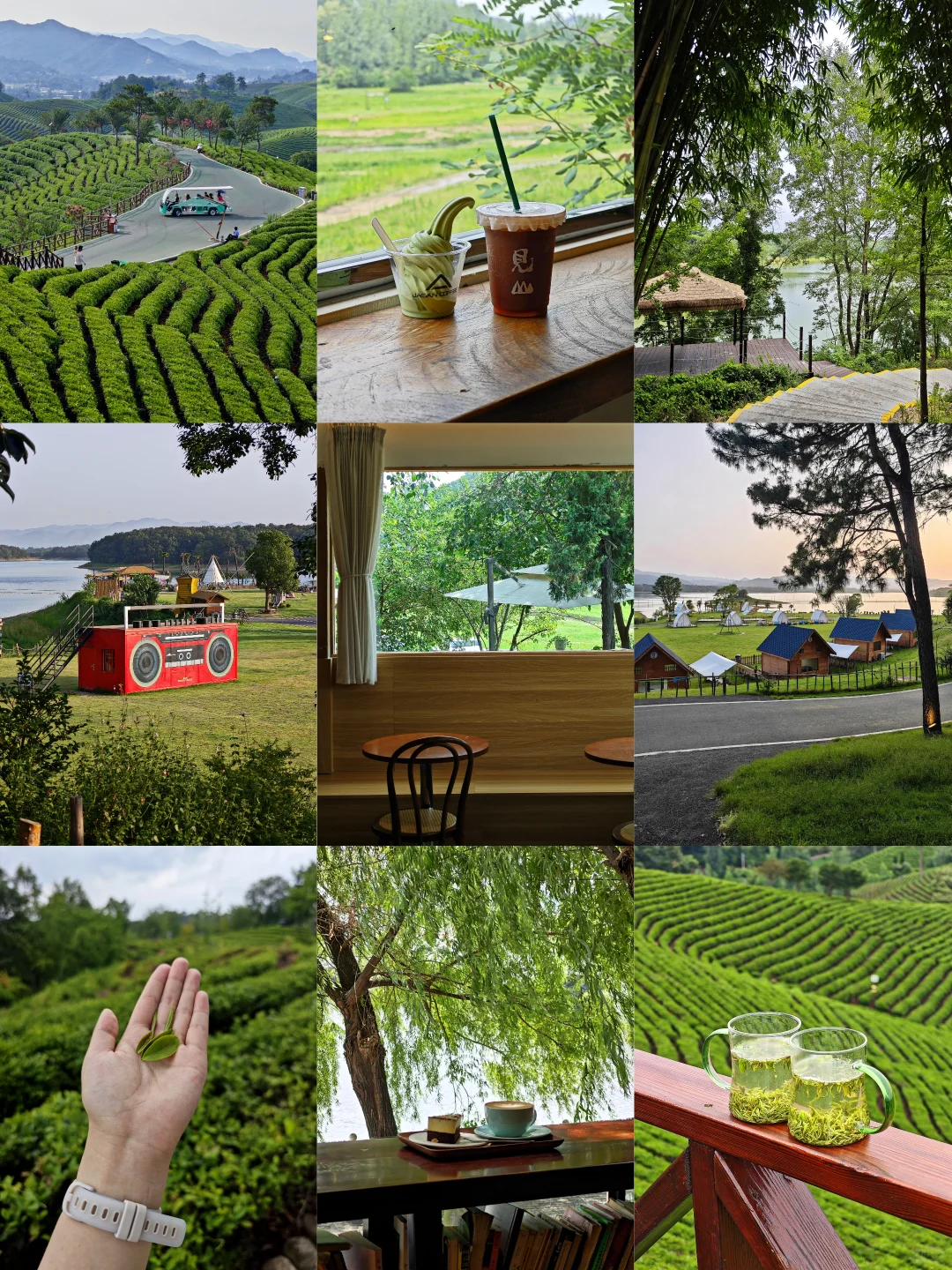 信阳📍🌳一个巨大的绿色能量场（含攻略