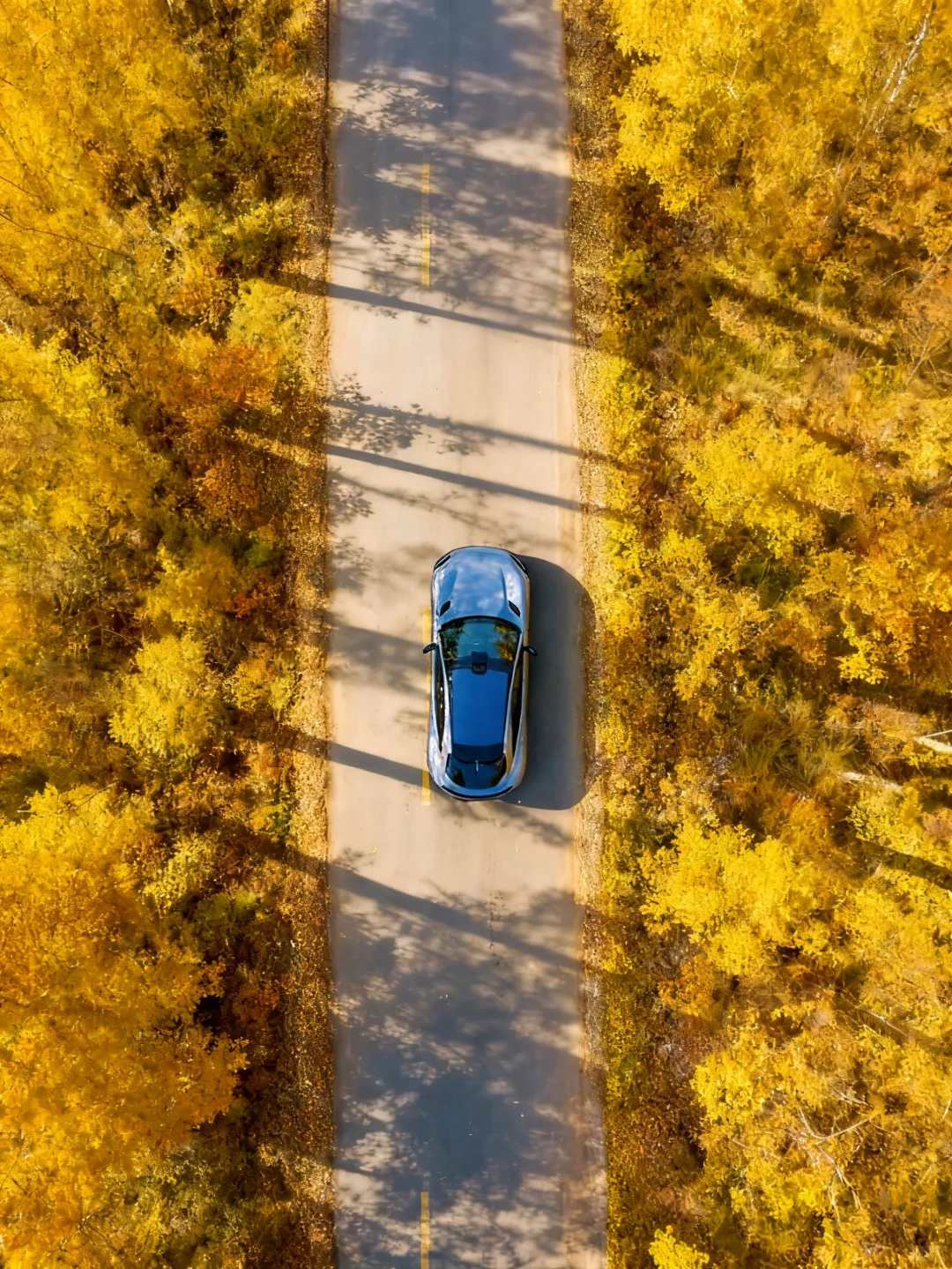 北京🚄2.5h❗️秋天必须去的宝藏秘境🍂